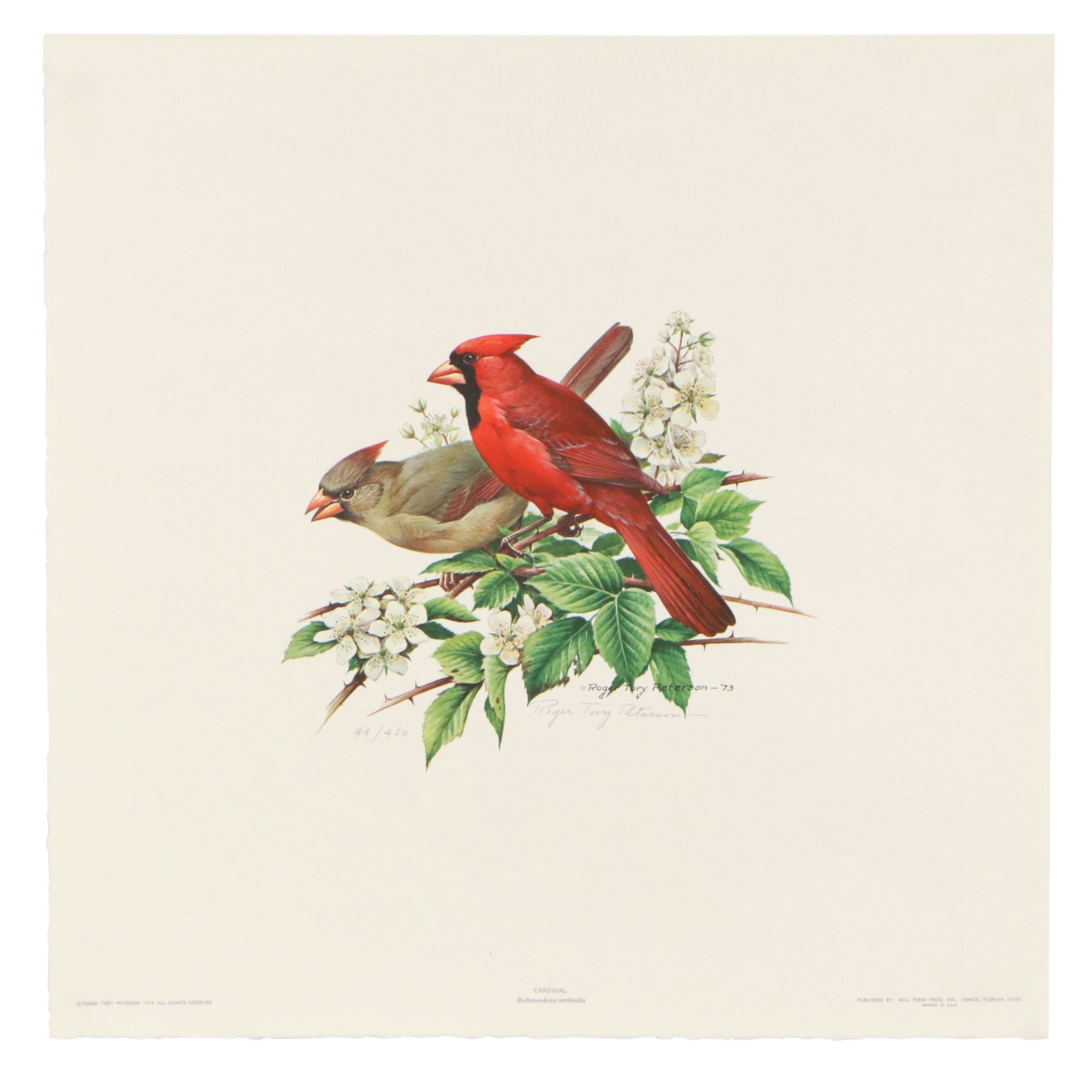 Roger Tory Peterson Offset Lithographs "Cardinal" and "Flicker," 1973