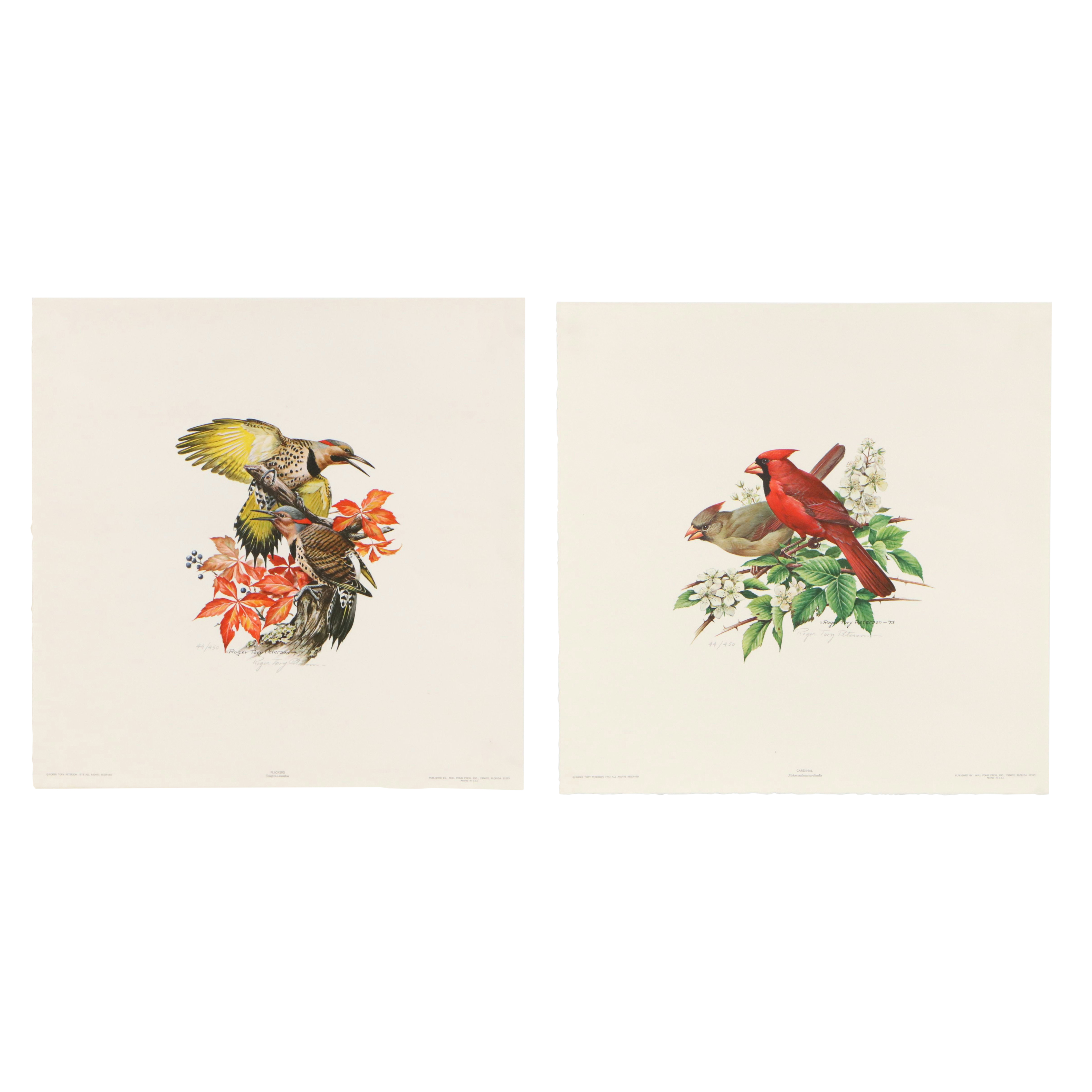 Roger Tory Peterson Offset Lithographs "Cardinal" and "Flicker," 1973