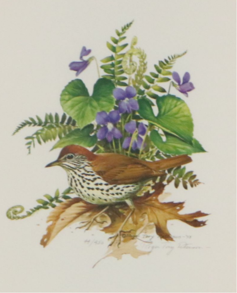 Roger Tory Peterson Offset Lithographs "Wood Thrush" and "Baltimore Oriole"
