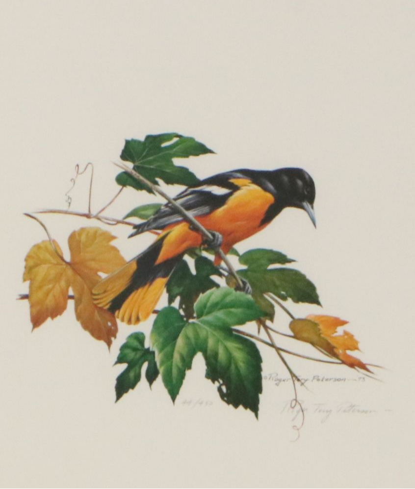Roger Tory Peterson Offset Lithographs "Wood Thrush" and "Baltimore Oriole"