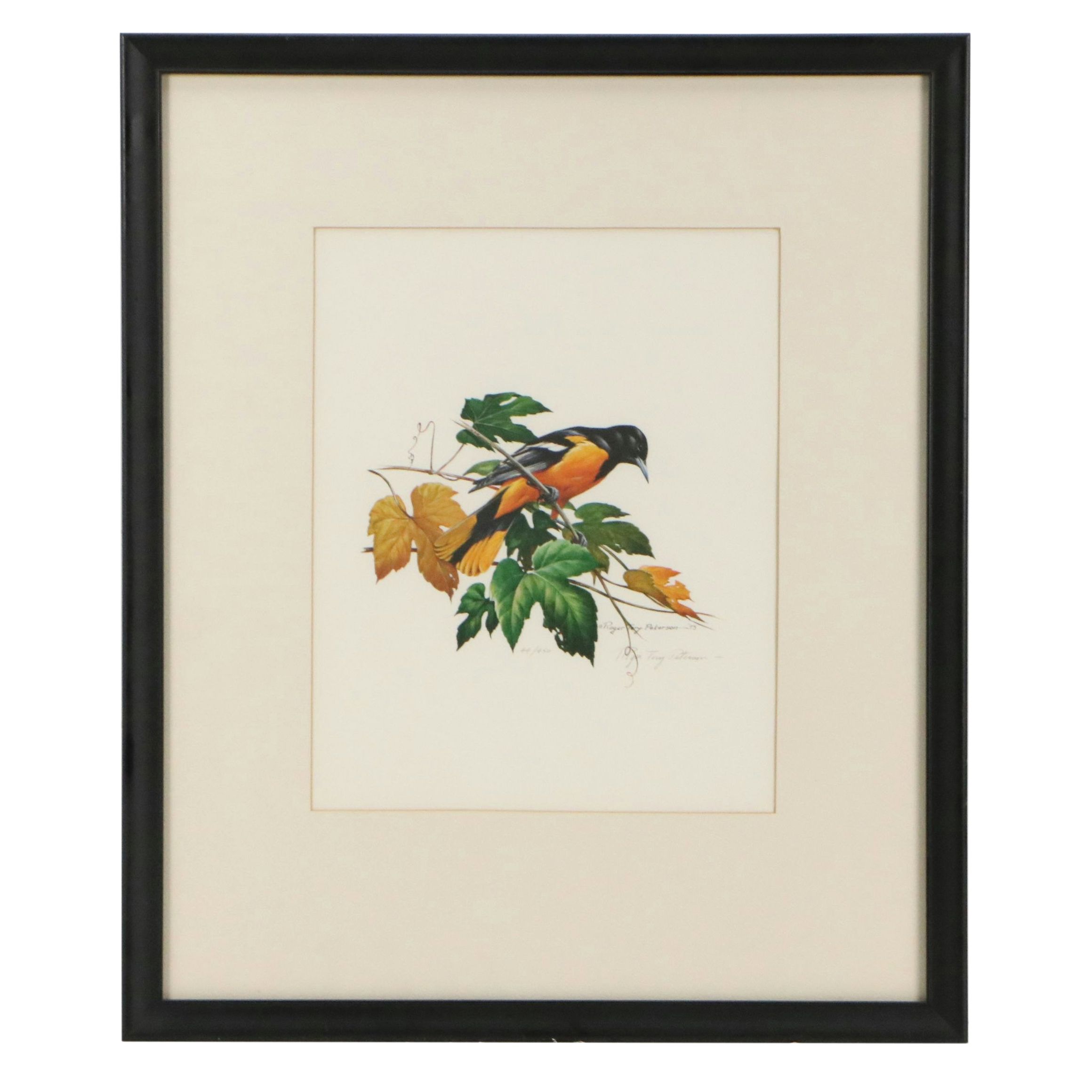 Roger Tory Peterson Offset Lithographs "Wood Thrush" and "Baltimore Oriole"
