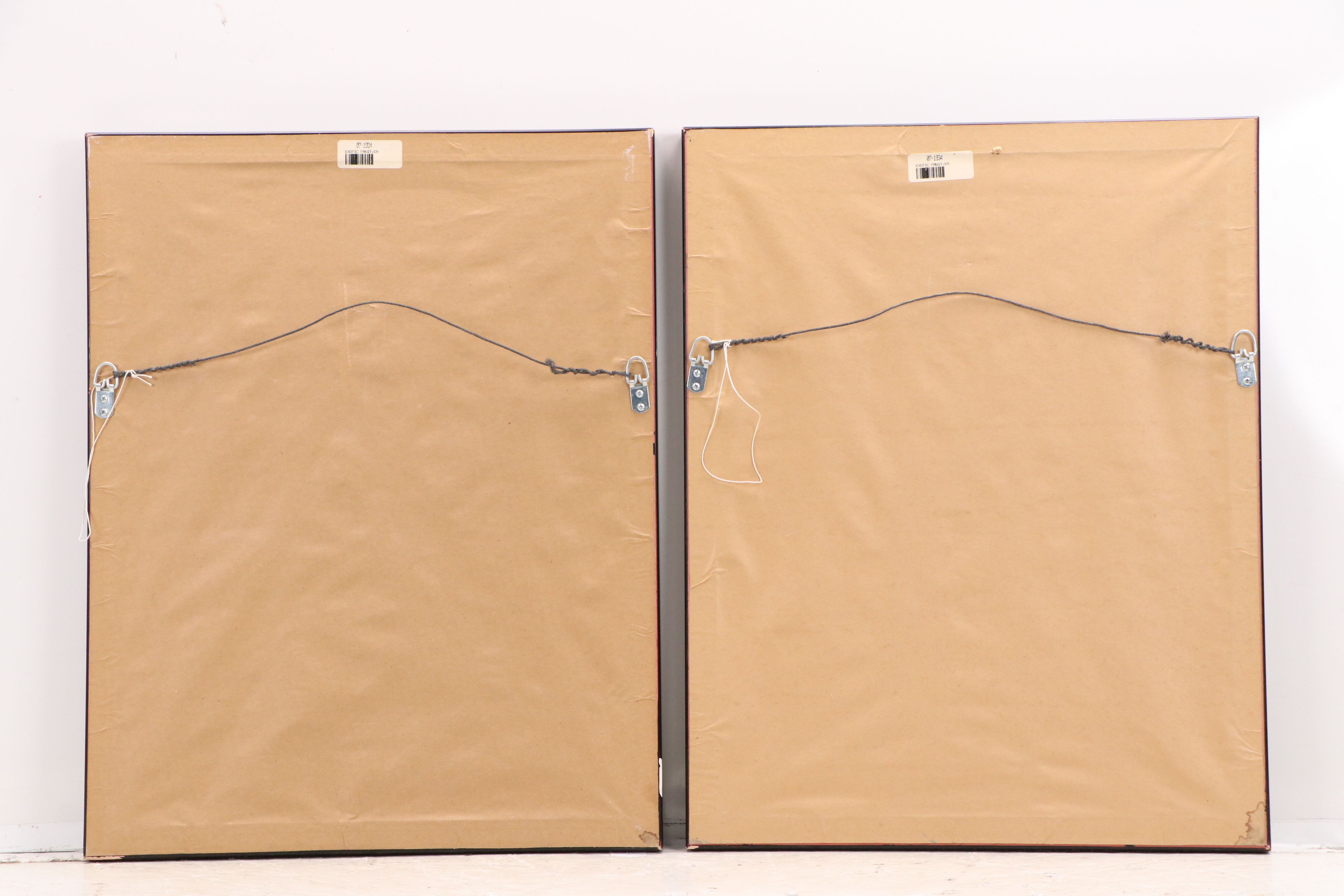 After Maria Sibylla Merian Offset Lithographs of Botanical Illustrations