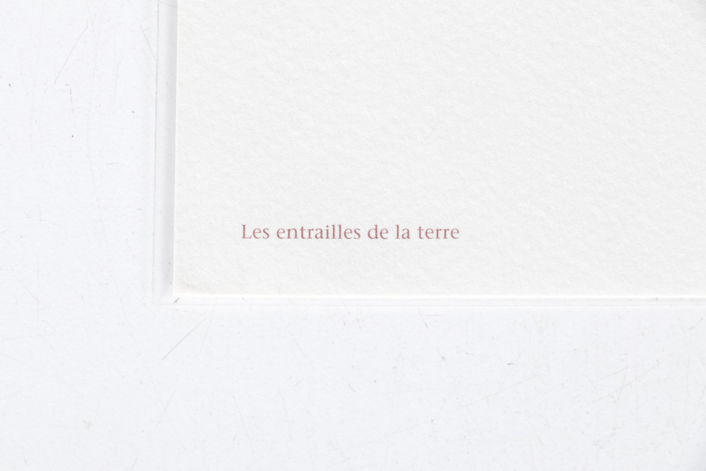 Stéphanie Barba Figurative Photogravure from "Le Sacre du Printemps"