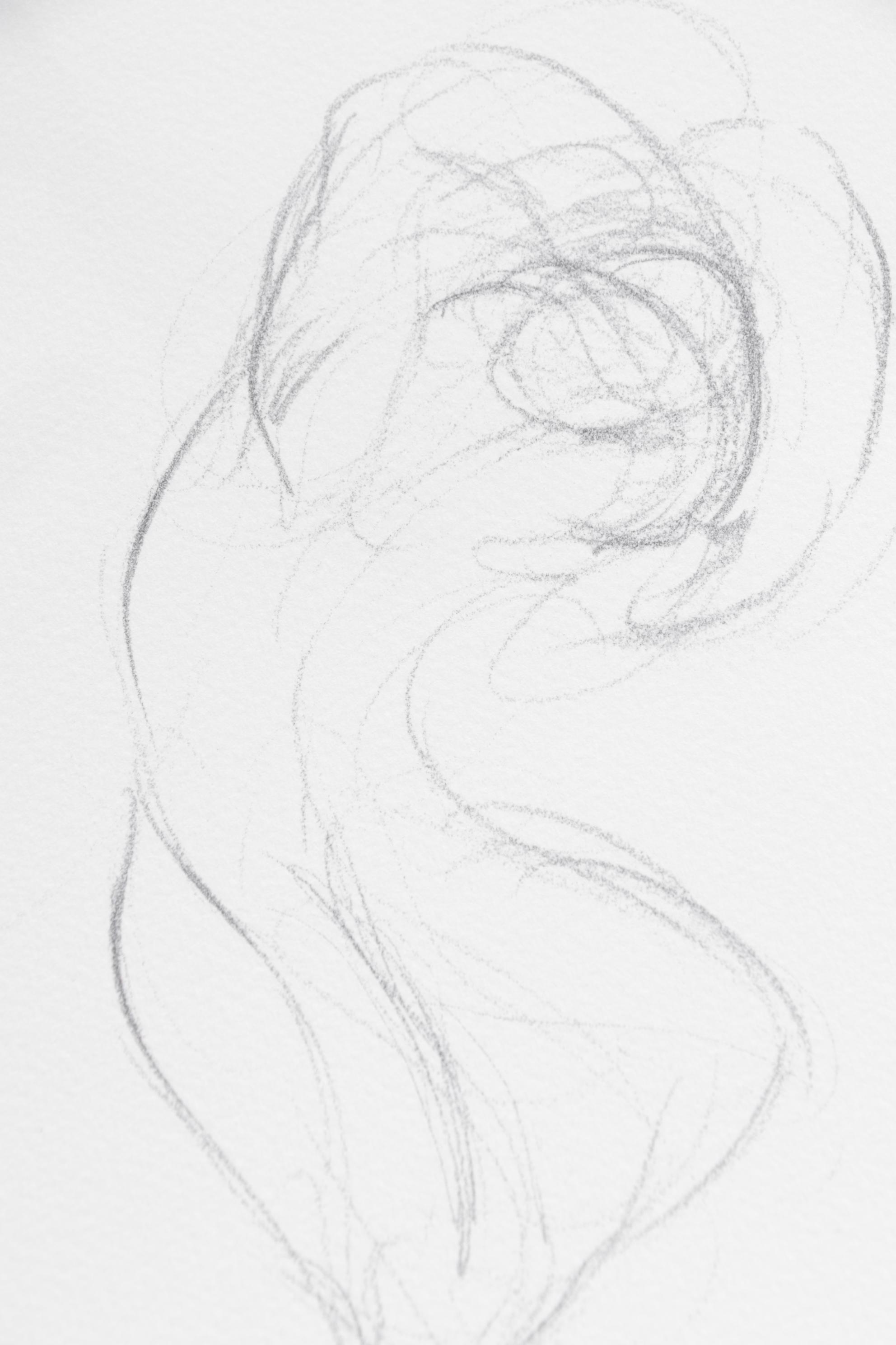 Stéphanie Barba Figurative Photogravure from "Le Sacre du Printemps"