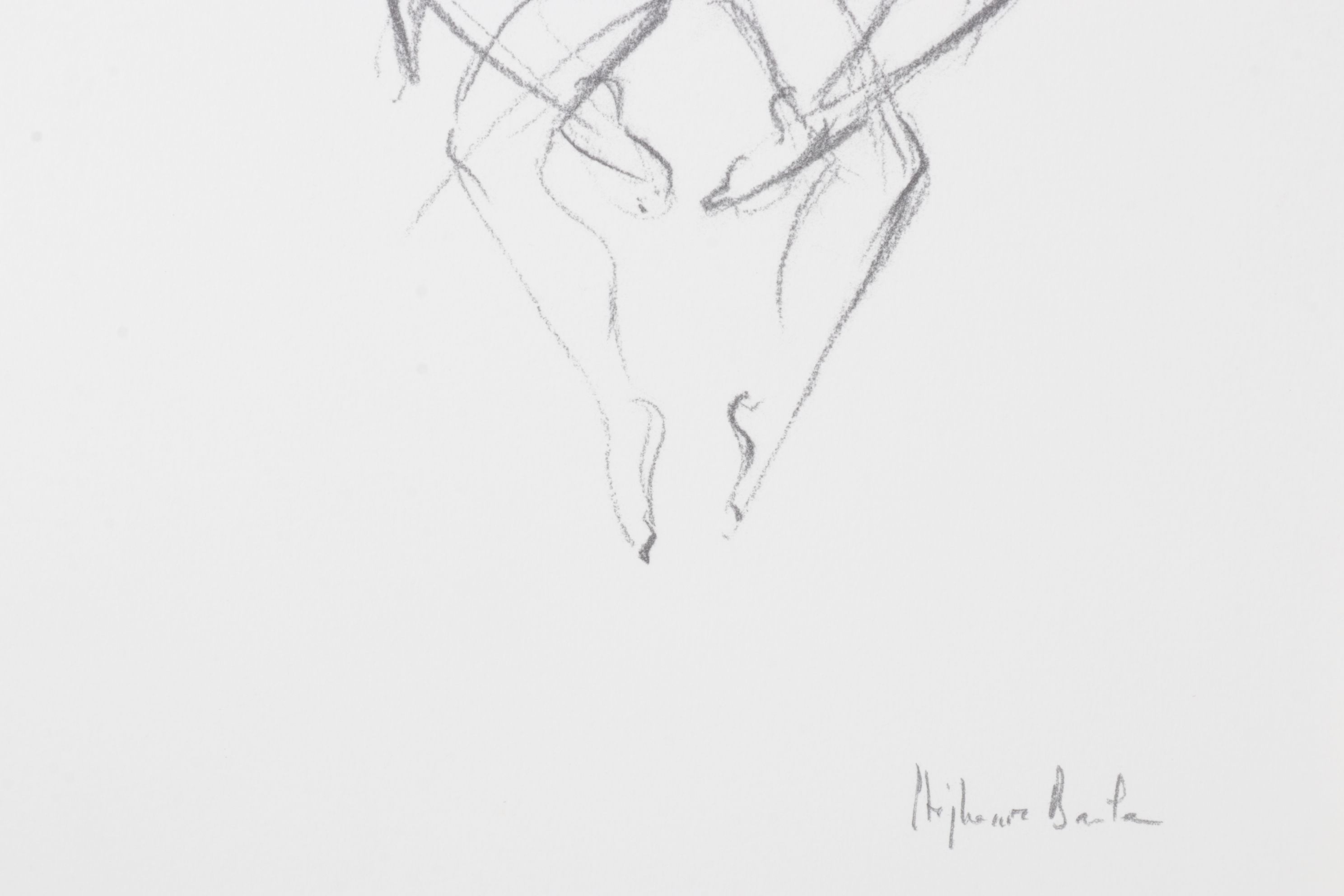 Stéphanie Barba Photogravure "L'envol Des Voutours" from "Le Sacre du Printemps"