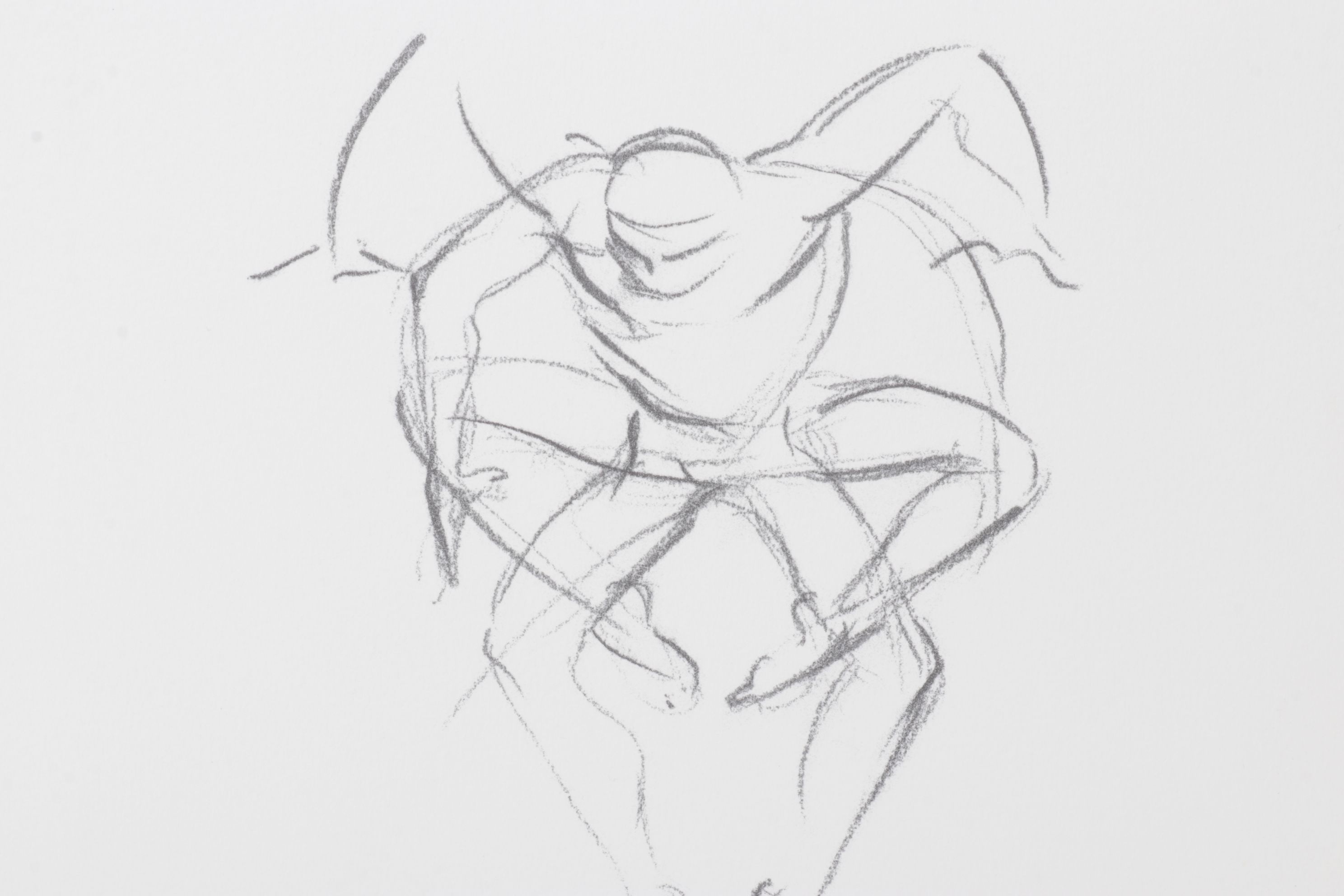 Stéphanie Barba Photogravure "L'envol Des Voutours" from "Le Sacre du Printemps"