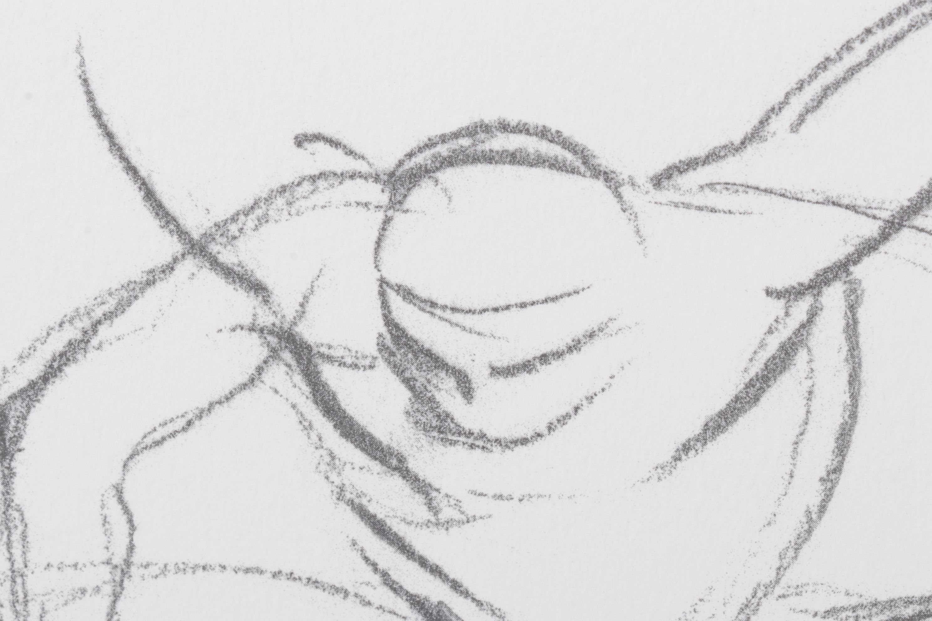 Stéphanie Barba Photogravure "L'envol Des Voutours" from "Le Sacre du Printemps"