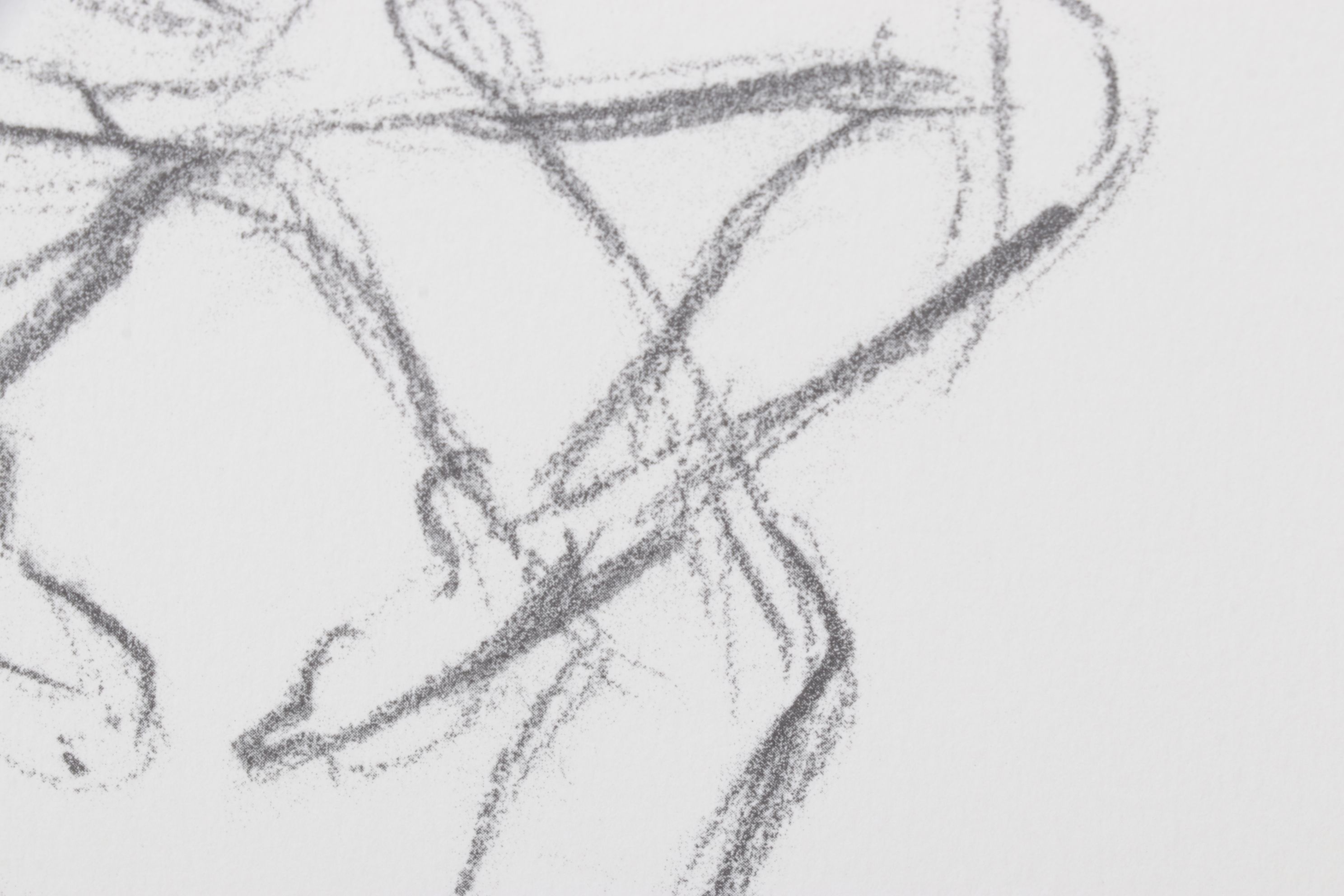 Stéphanie Barba Photogravure "L'envol Des Voutours" from "Le Sacre du Printemps"