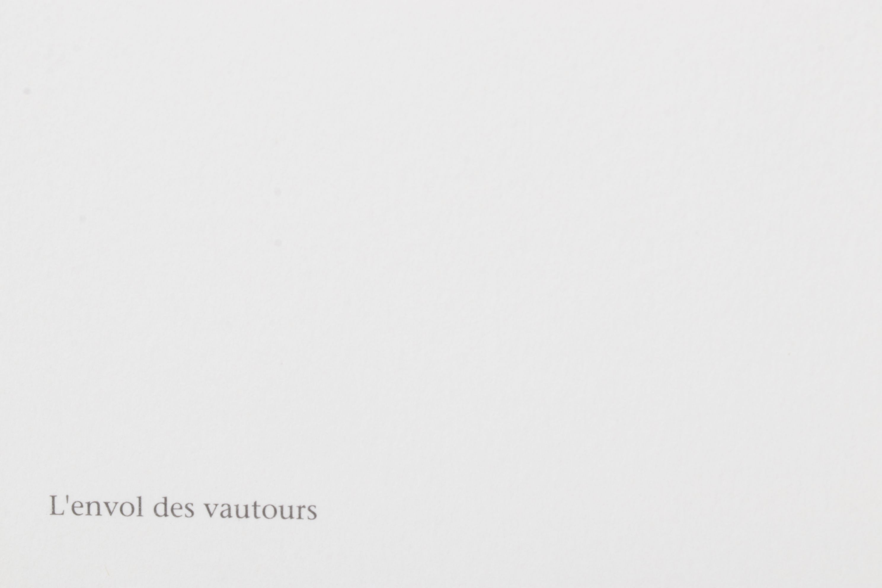 Stéphanie Barba Photogravure "L'envol Des Voutours" from "Le Sacre du Printemps"