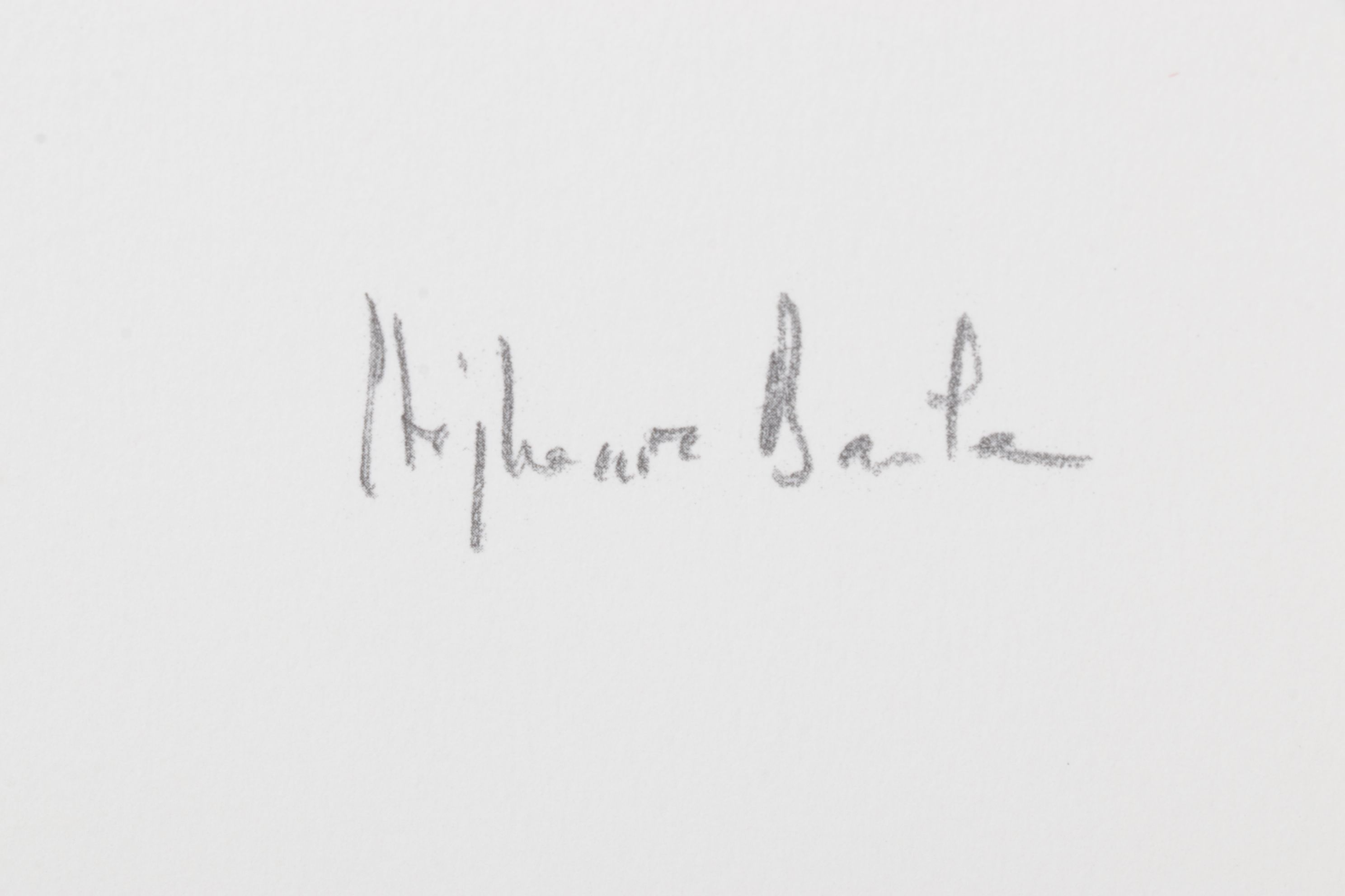 Stéphanie Barba Photogravure "L'envol Des Voutours" from "Le Sacre du Printemps"