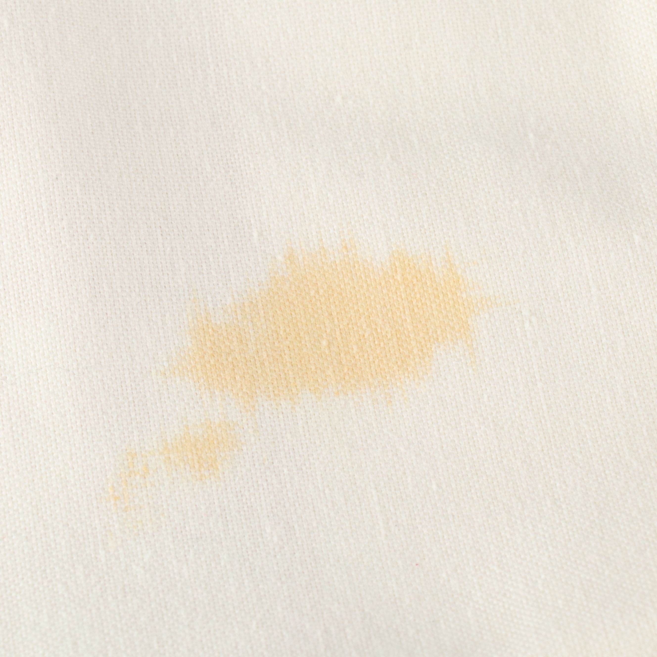 Candy Cane Apron with Holly Berry and Other Christmas Tablecloths