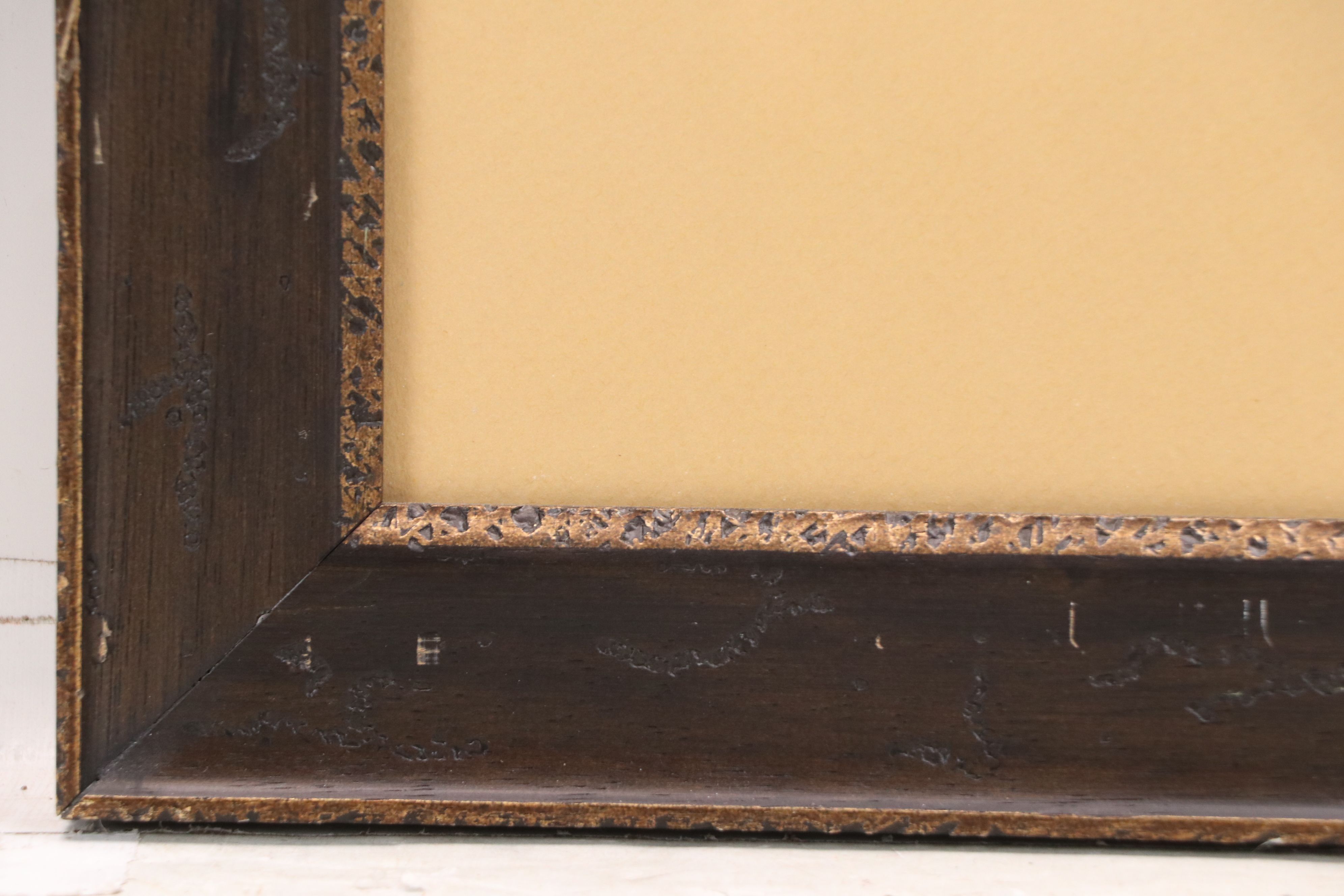 After John and Elizabeth Gould Ornithological Digital Reproductions