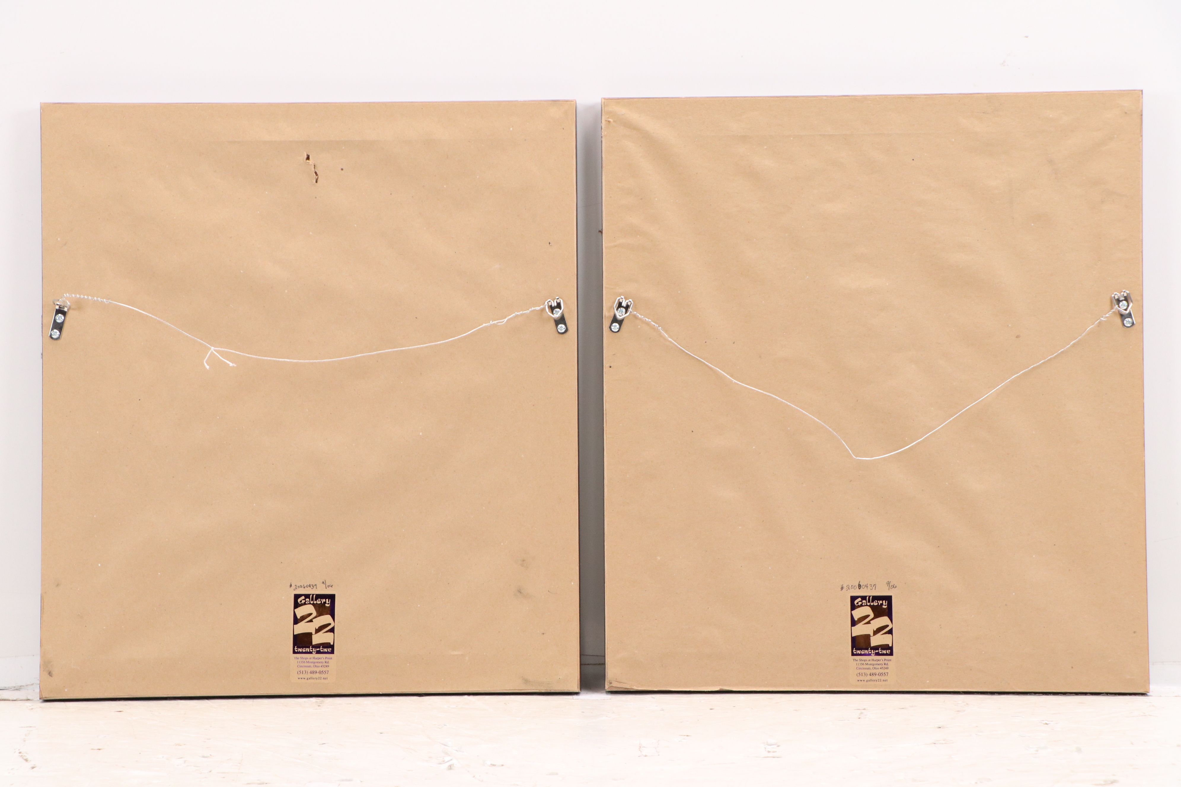 After John and Elizabeth Gould Ornithological Digital Reproductions