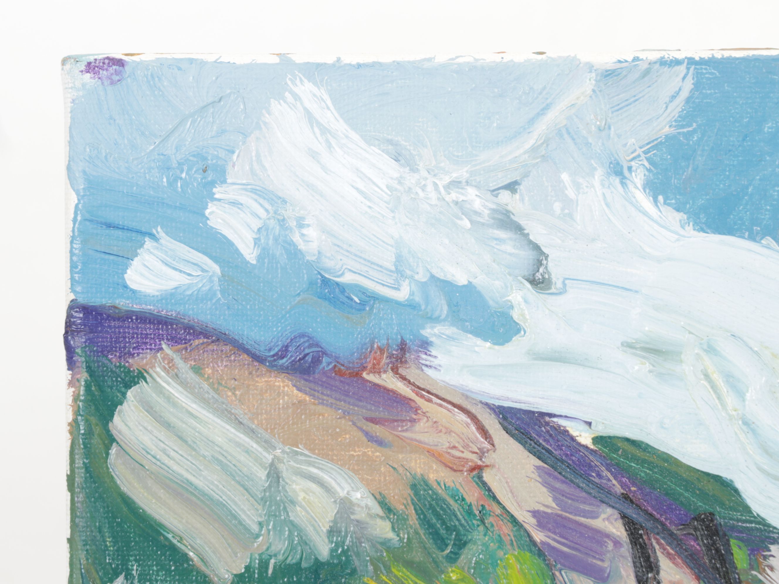 Jose D. Trujillo Oil Painting "Bright Hillside", 2017