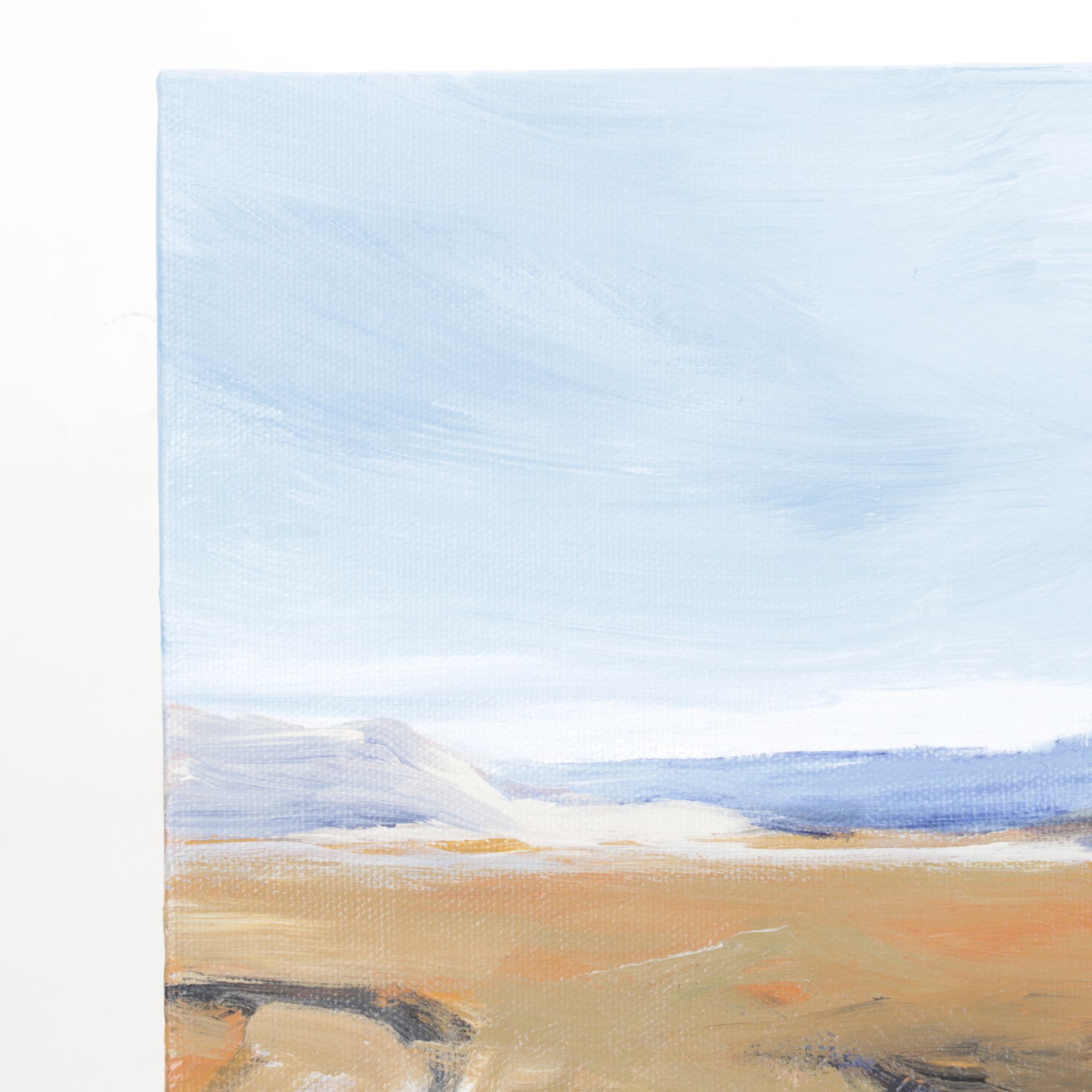 Ellen Yetvin-Haven Desert Landscape Oil Painting, 2008