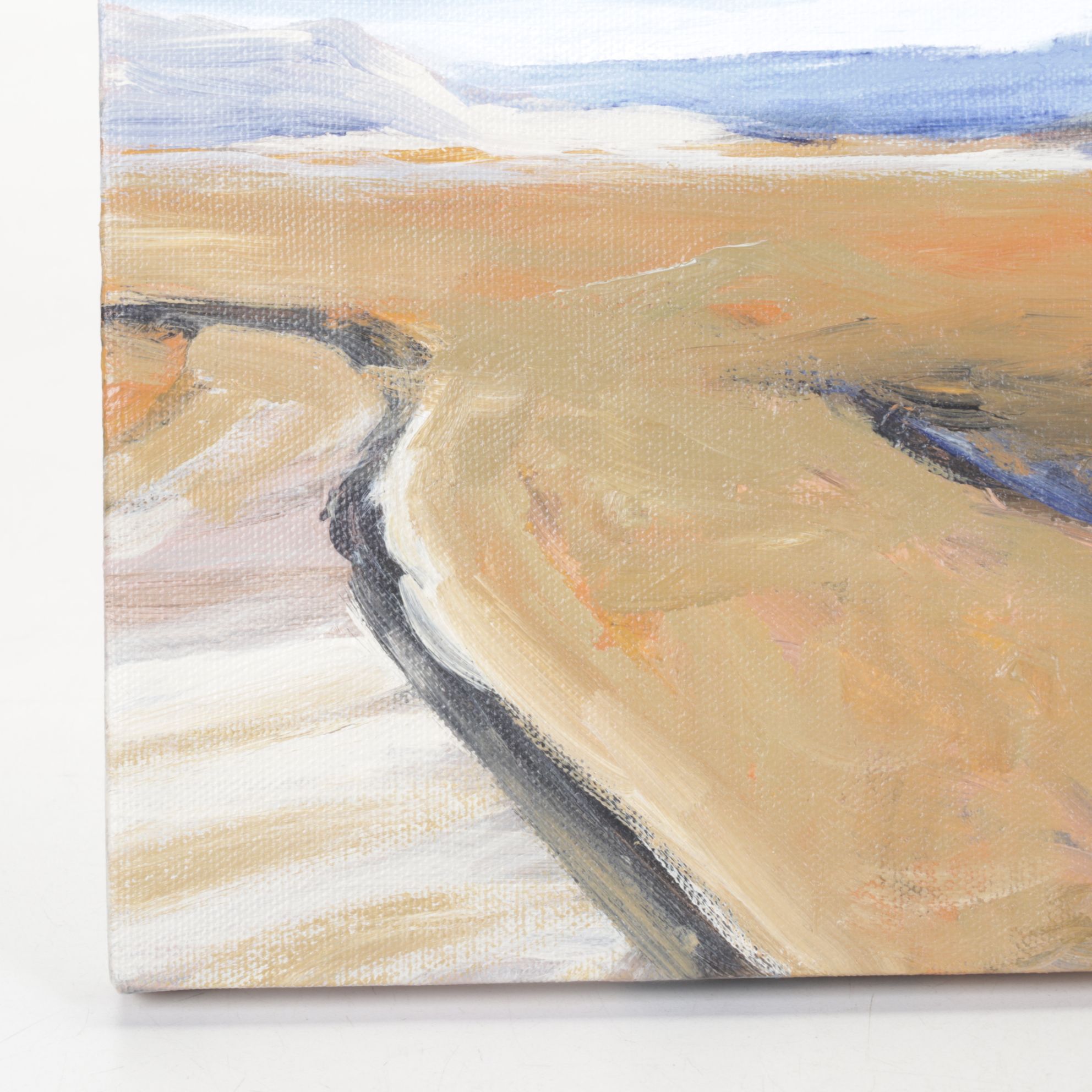 Ellen Yetvin-Haven Desert Landscape Oil Painting, 2008