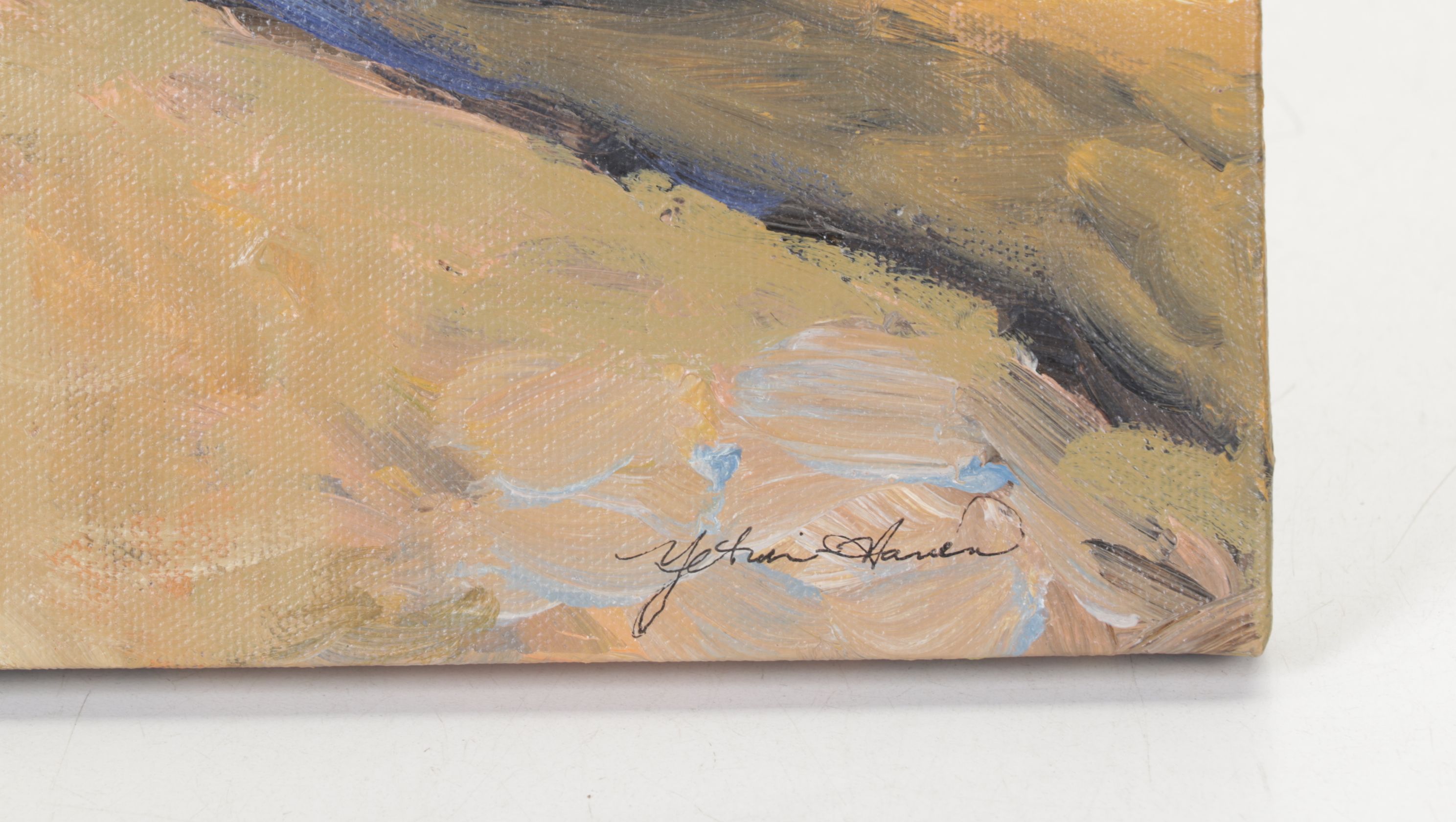 Ellen Yetvin-Haven Desert Landscape Oil Painting, 2008