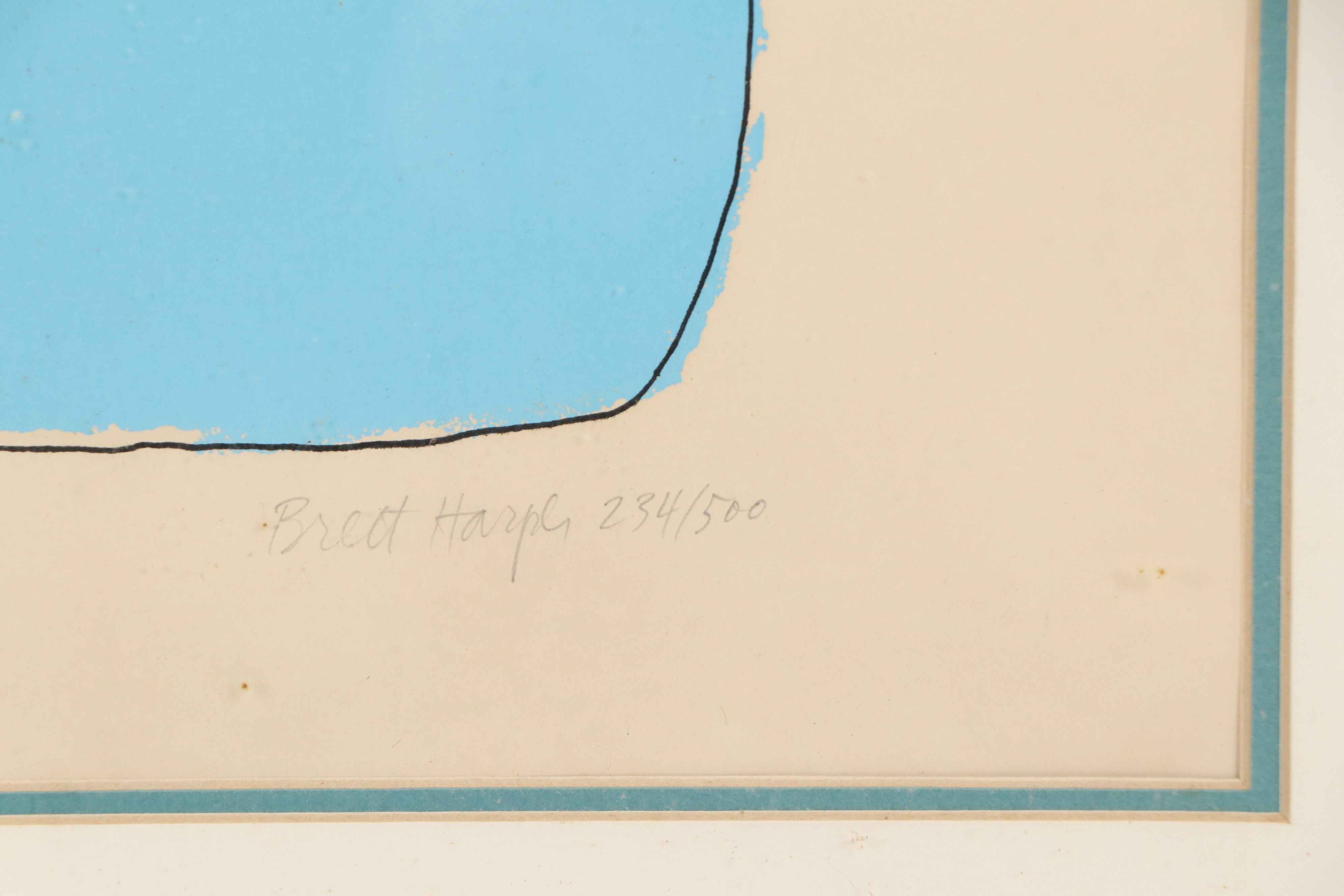 Brett Harper Serigraph of Plant Cuttings in Vase