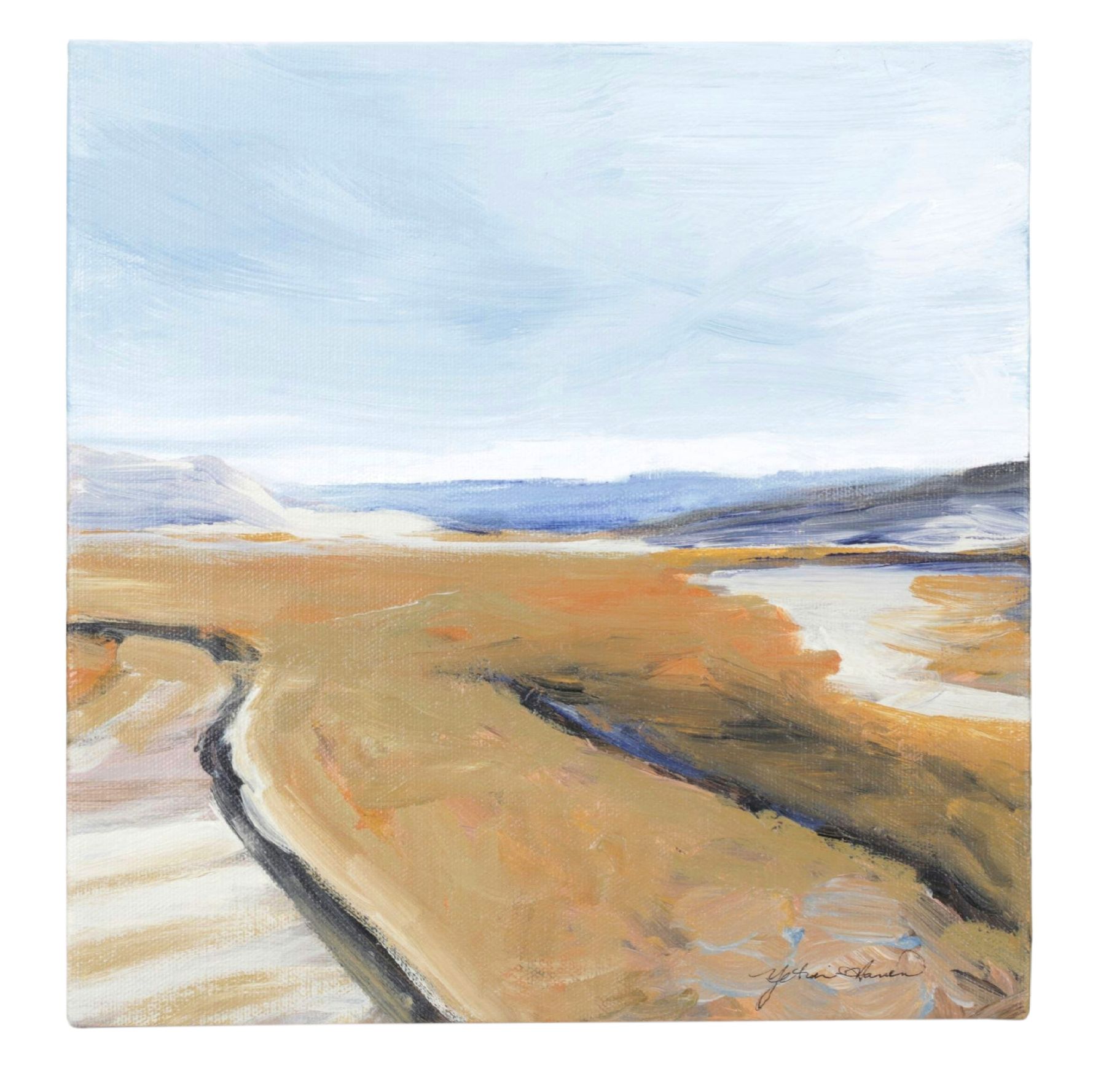 Ellen Yetvin-Haven Desert Landscape Oil Painting, 2008