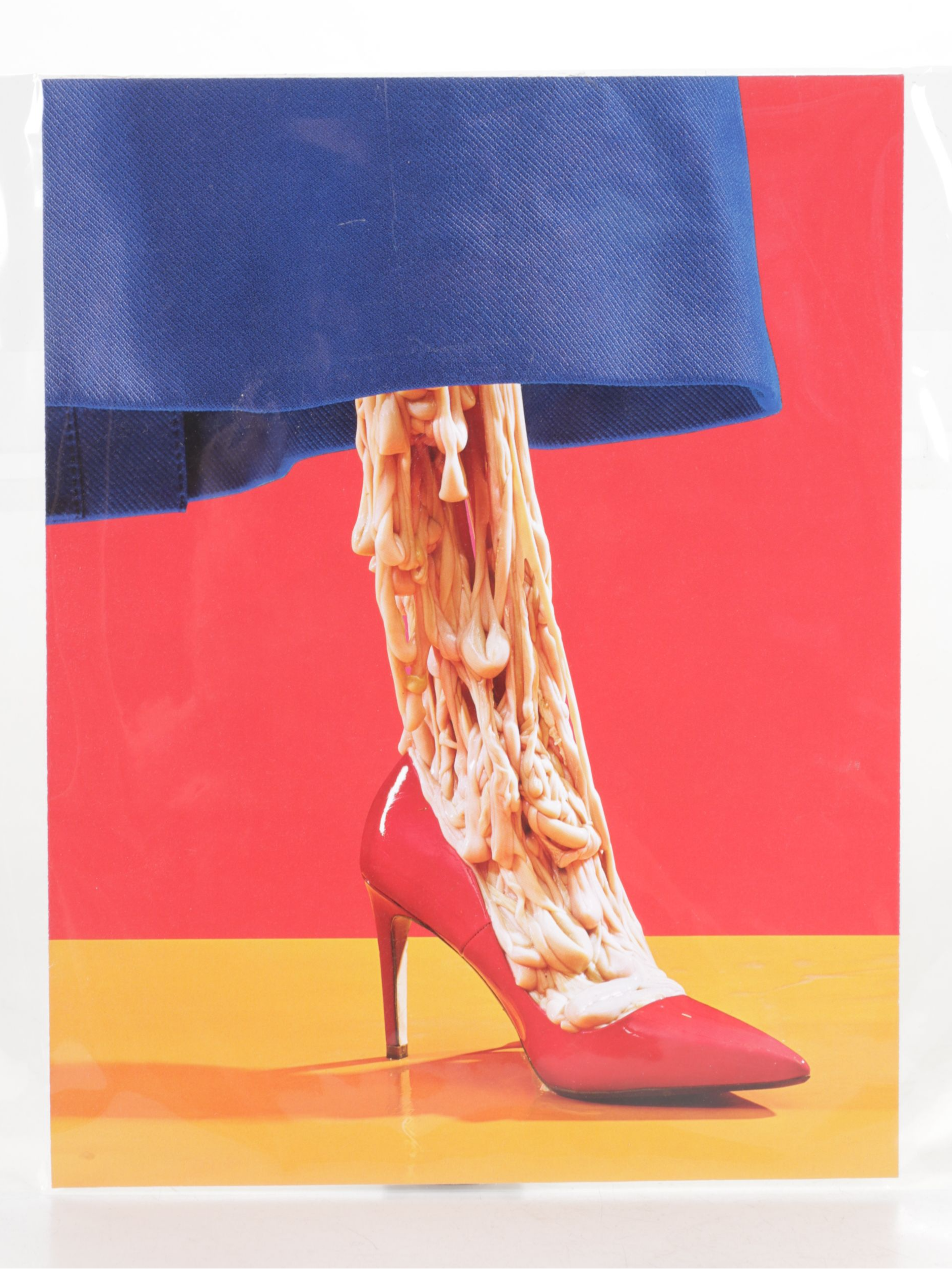 Collection of Absurdist Offset Lithographs Pulled from "TOILETPAPER Vol. 18"