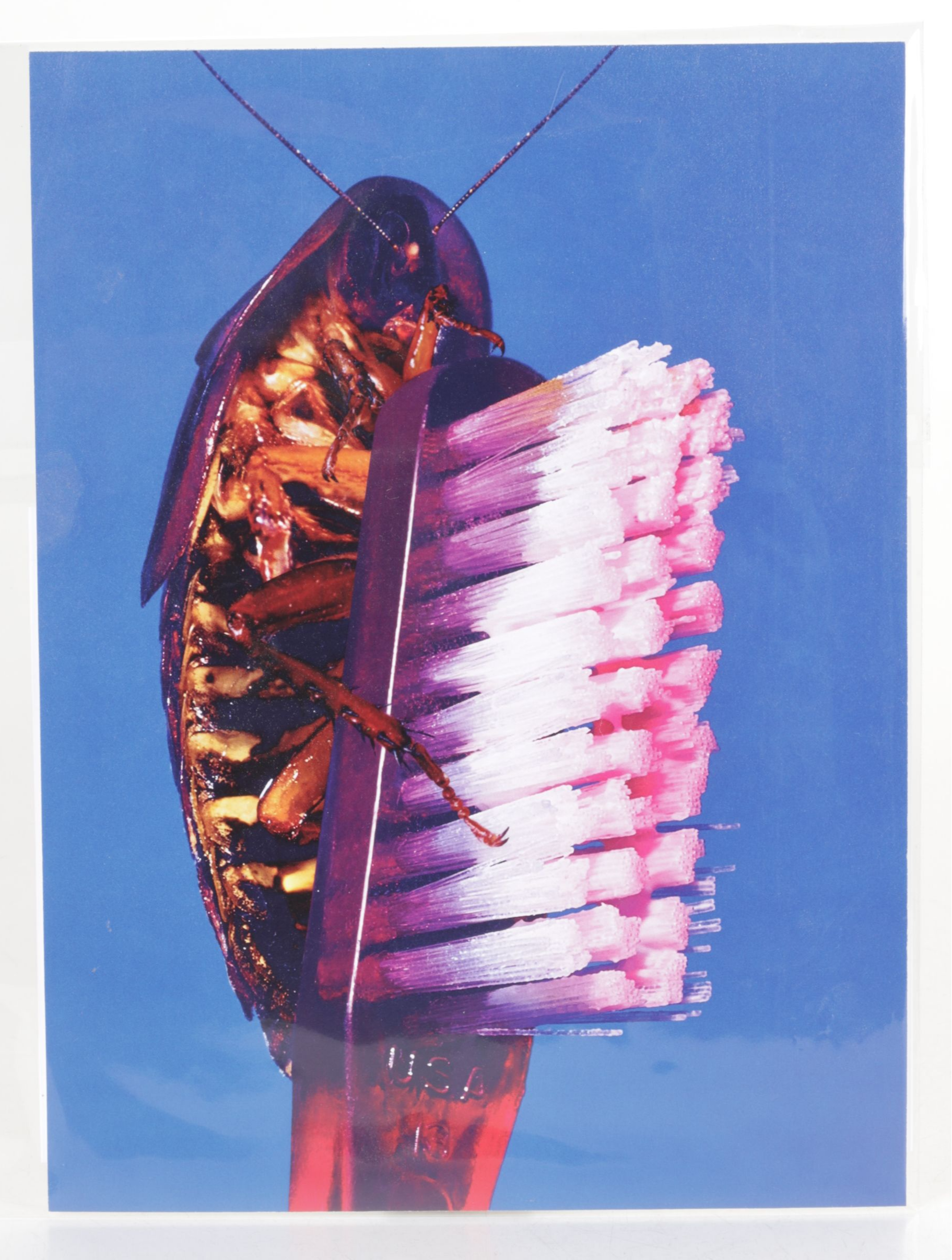 Collection of Absurdist Offset Lithographs Pulled from "TOILETPAPER Vol. 18"