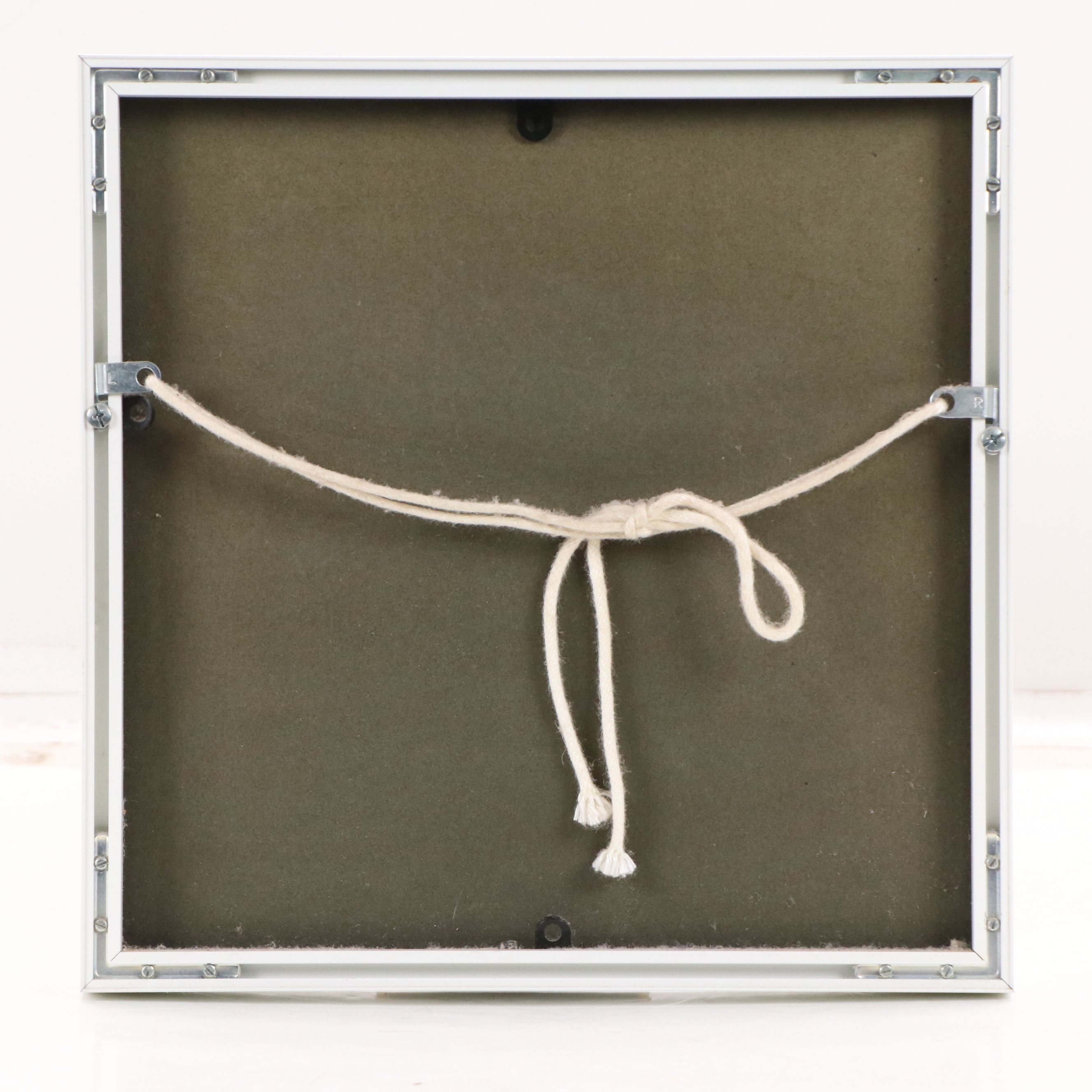 Cloisonné Enamel Plaque of Bird with Grapes