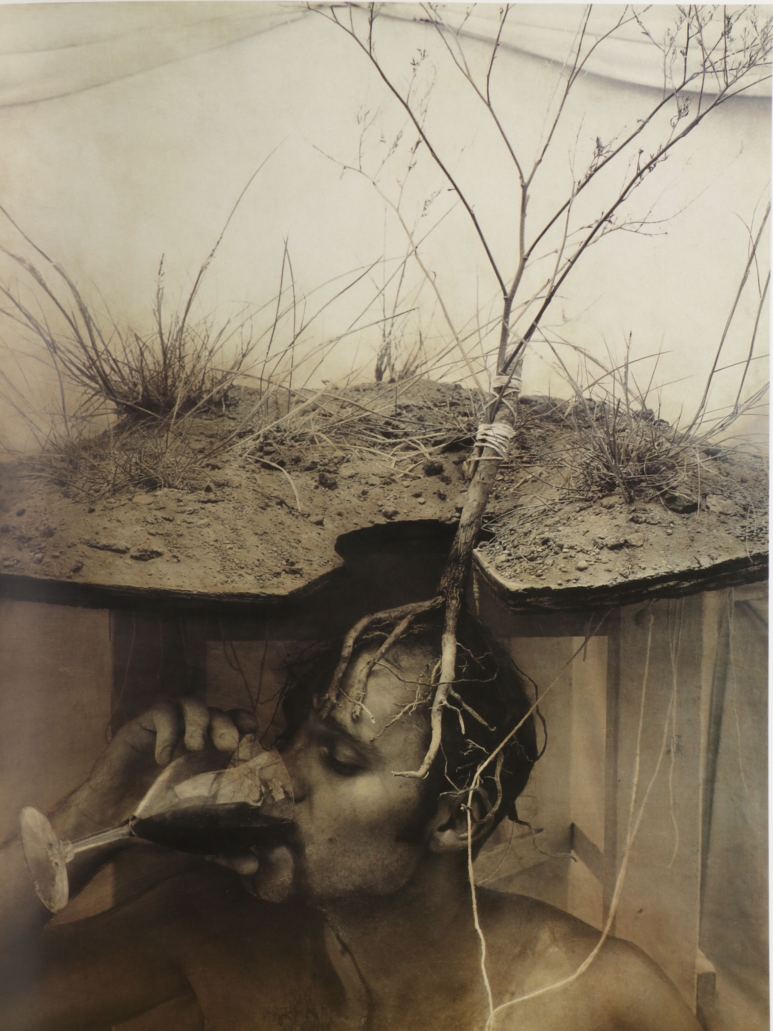 Signed Limited Edition "The Architect's Brother" by Robert ParkeHarrison, 2000