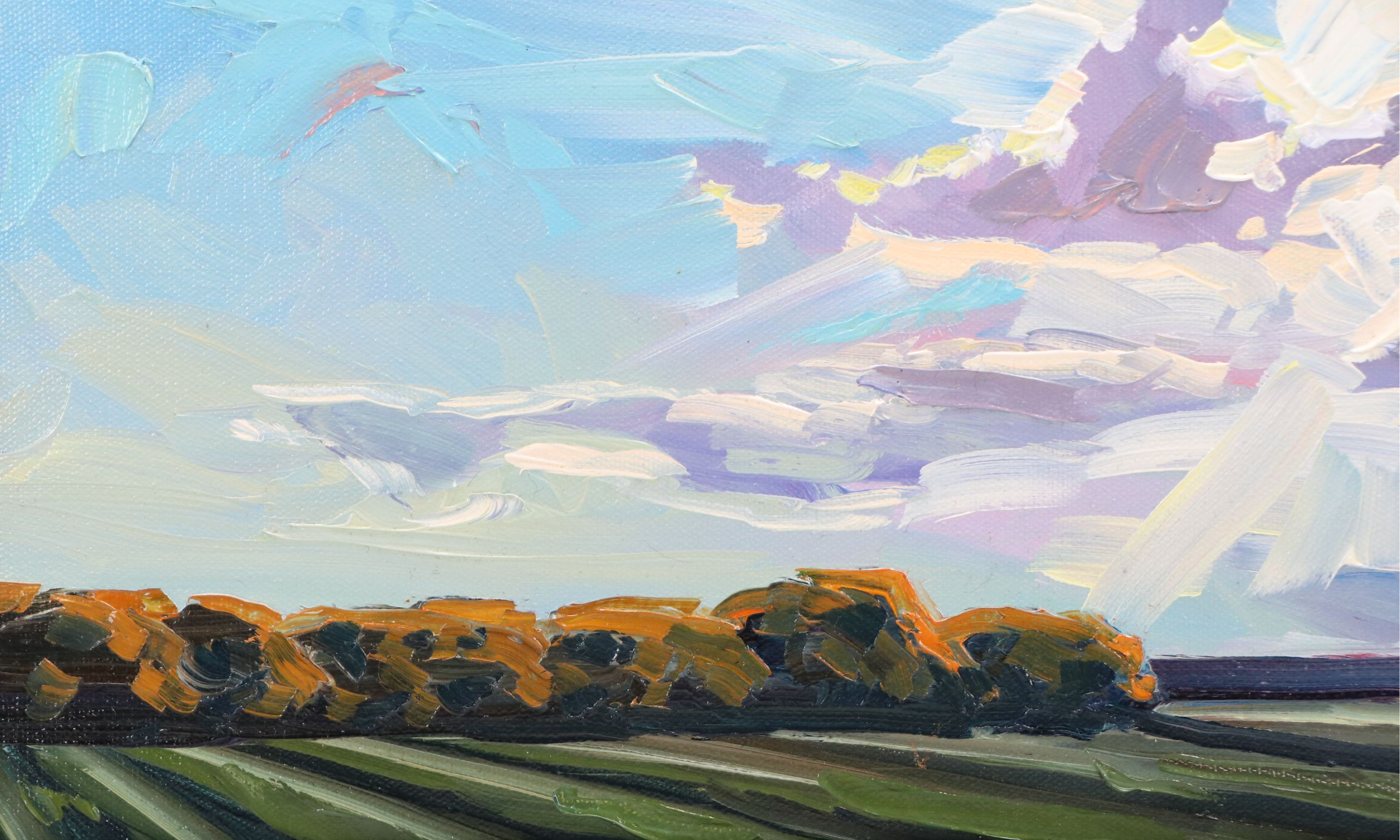 William Hawkins Oil Painting of Sunlit Clouds Over Field, 2026