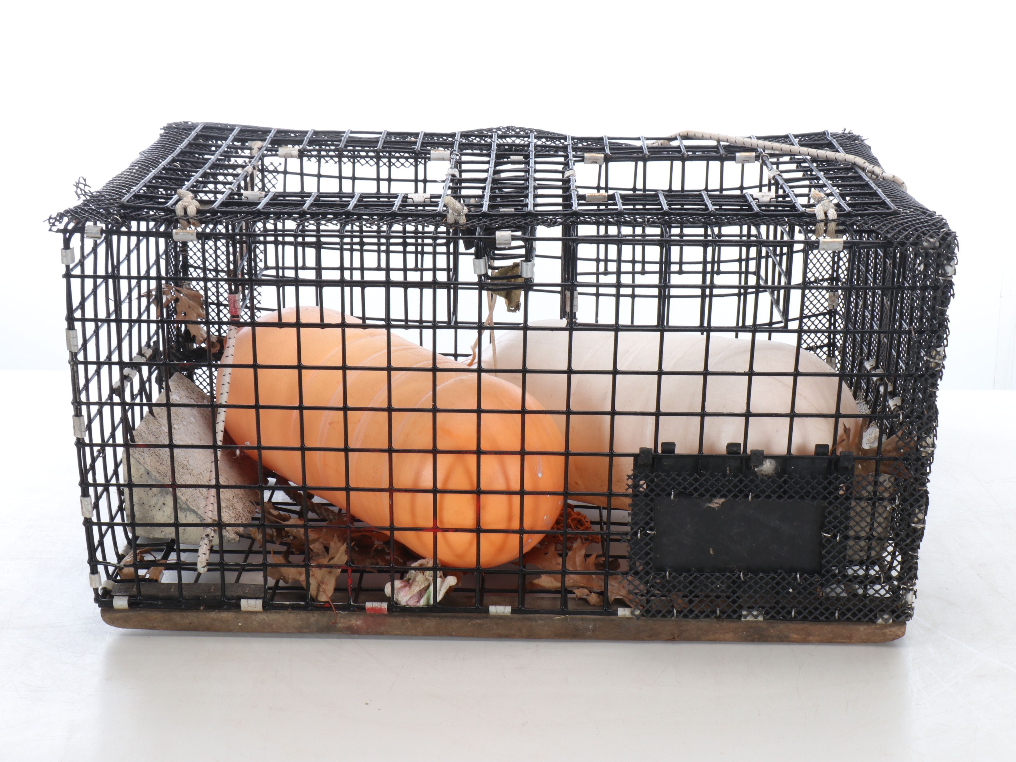 Box Crab Trap with Plastic Buoys