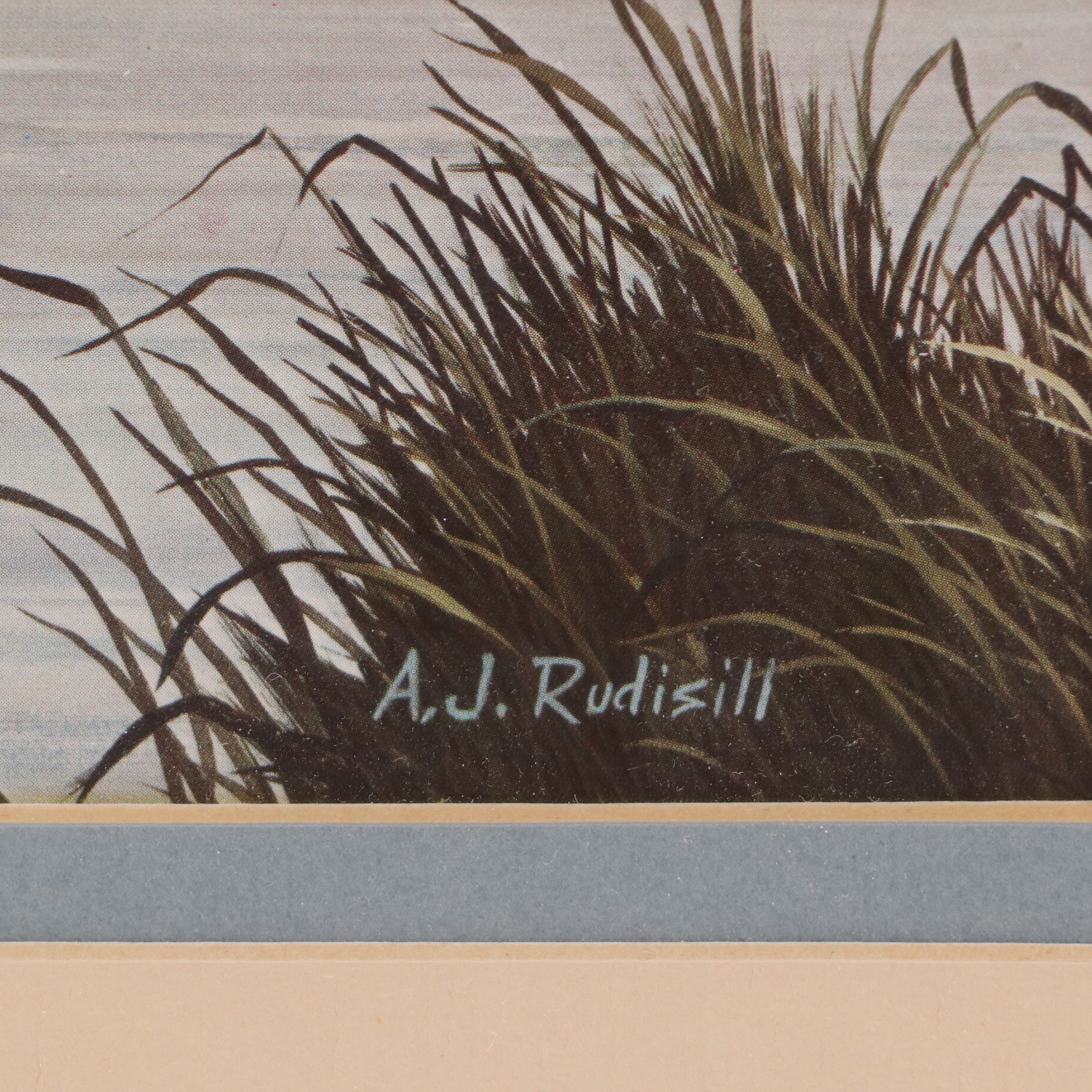 After Anthony J. Rudisill Offset Lithograph "Pintails"