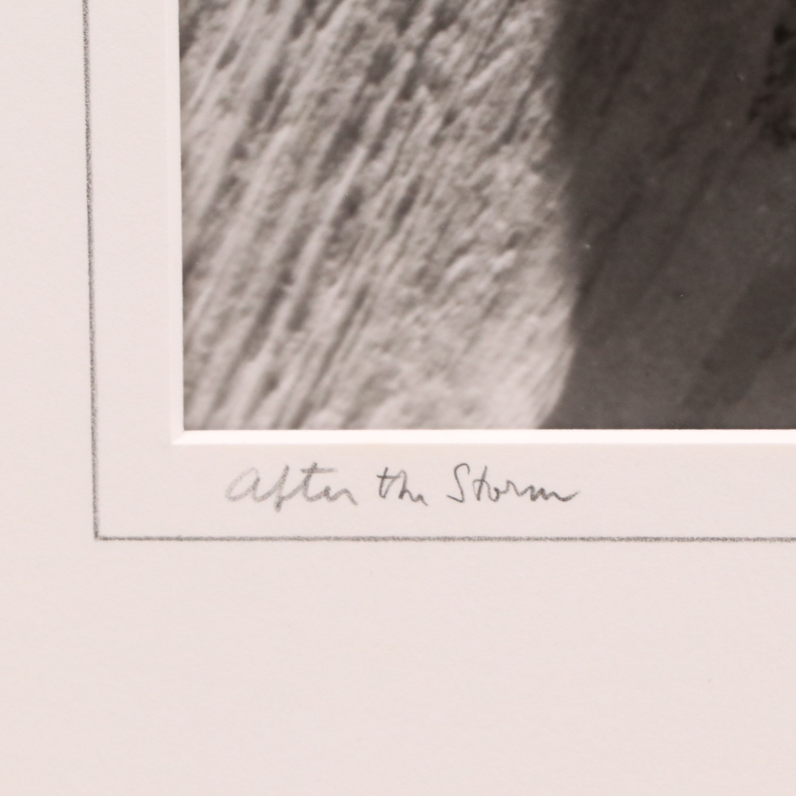 Bradford Washburn Silver Gelatin "After the Storm," 1960