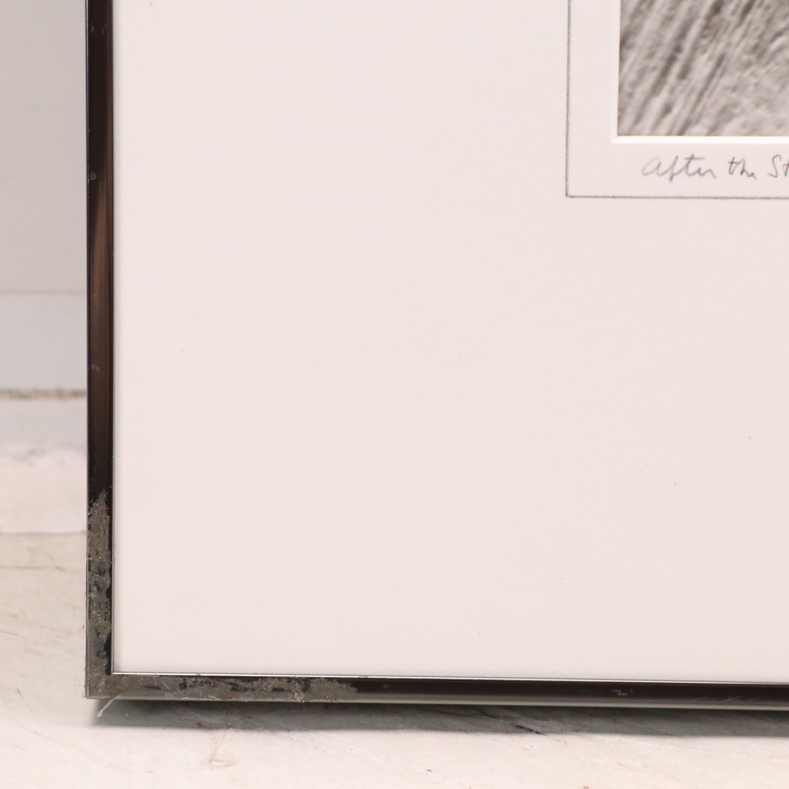 Bradford Washburn Silver Gelatin "After the Storm," 1960