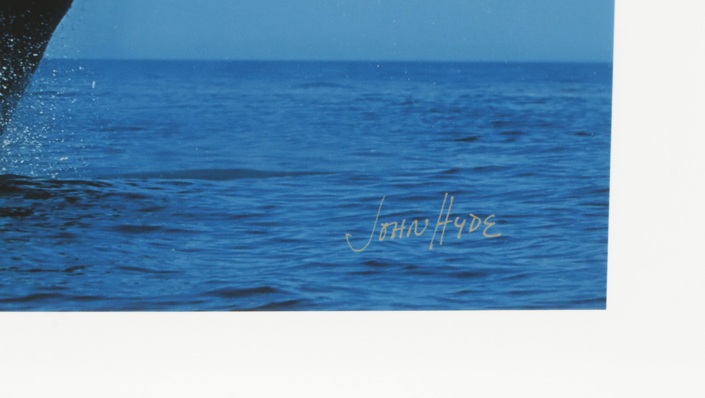 Giclée After John Hyde "Humpback Whale Breaches In Clearing Fog"
