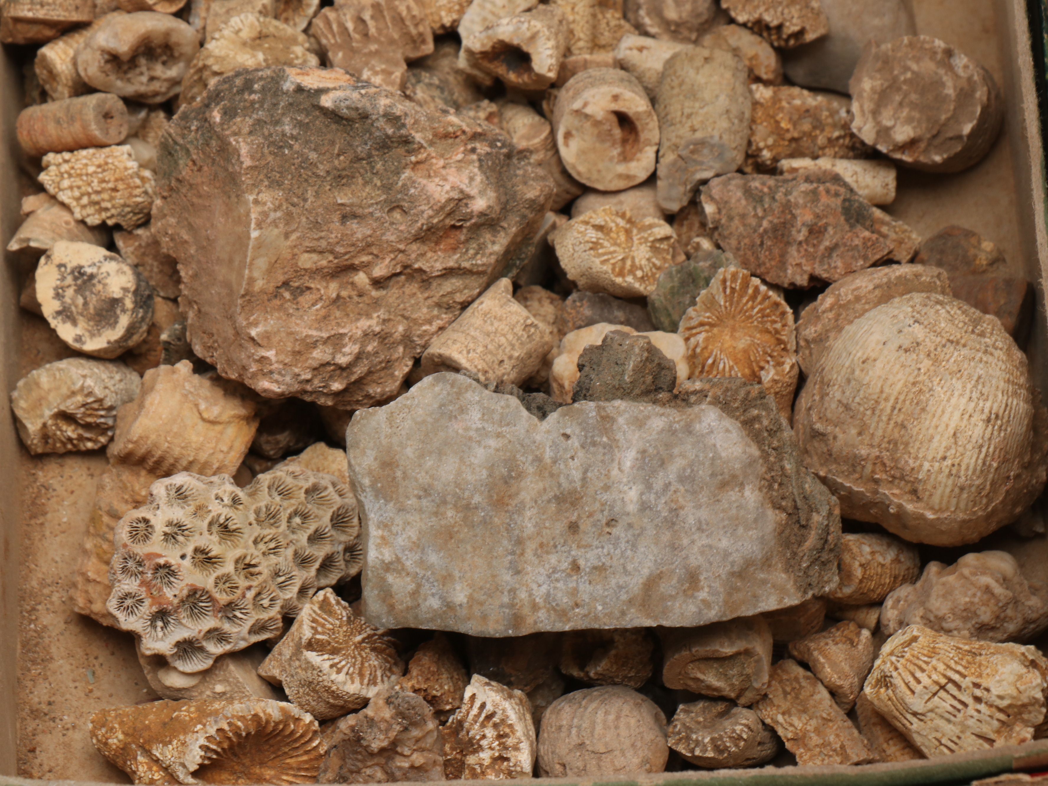 Volcanic Perlite, Sandstone, Leopardite and More Minerals and Stones