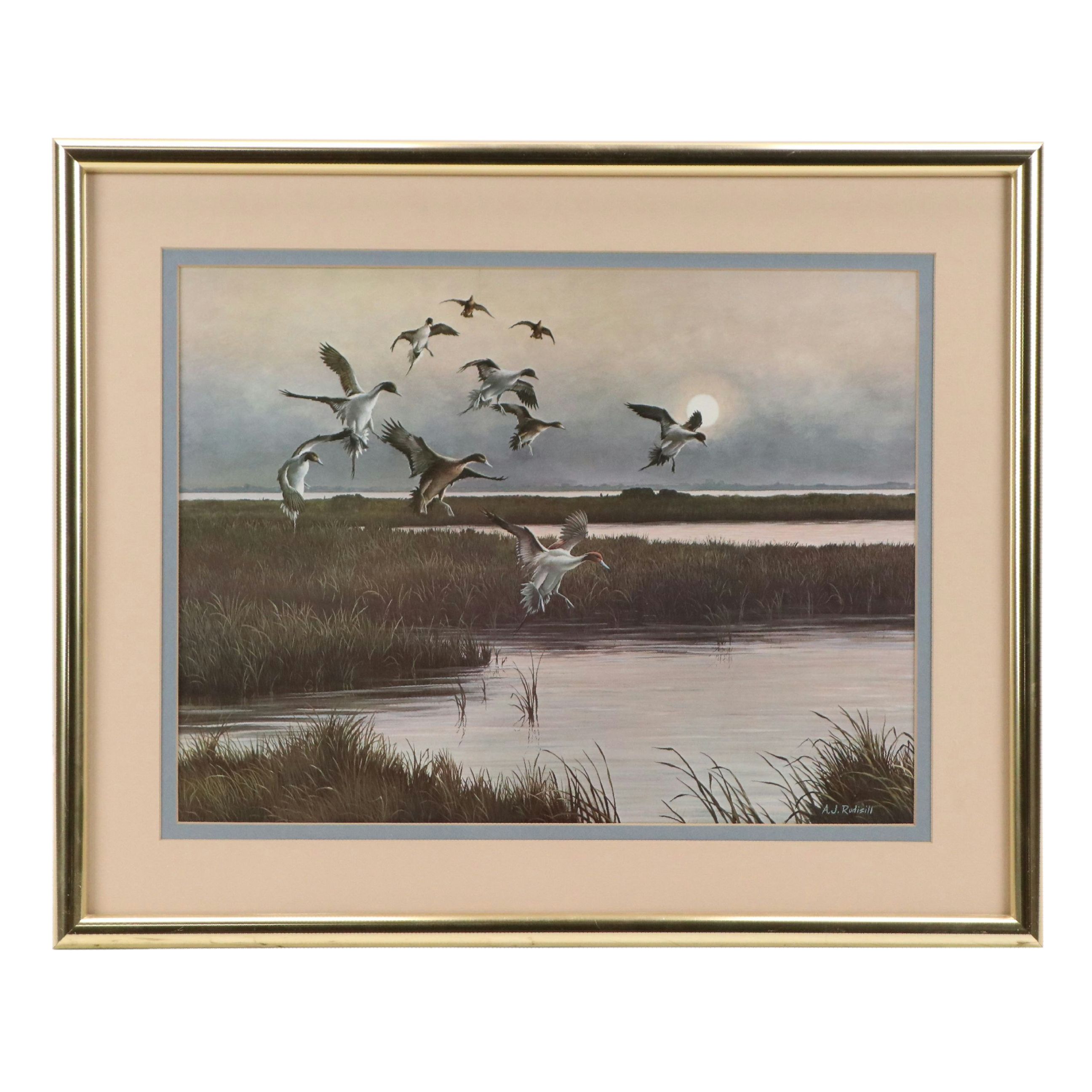 After Anthony J. Rudisill Offset Lithograph "Pintails"