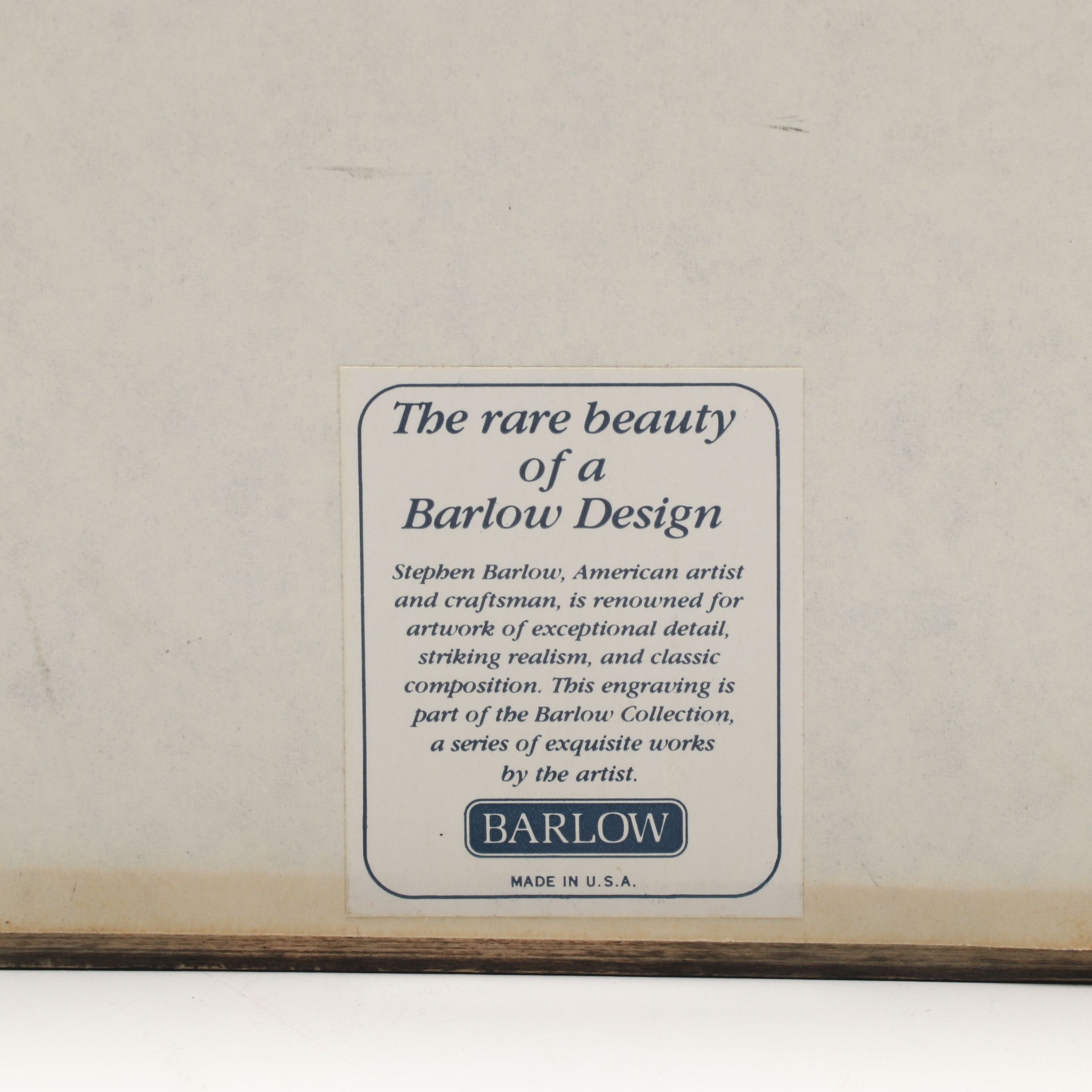 Scrimshaw Medallion Ships