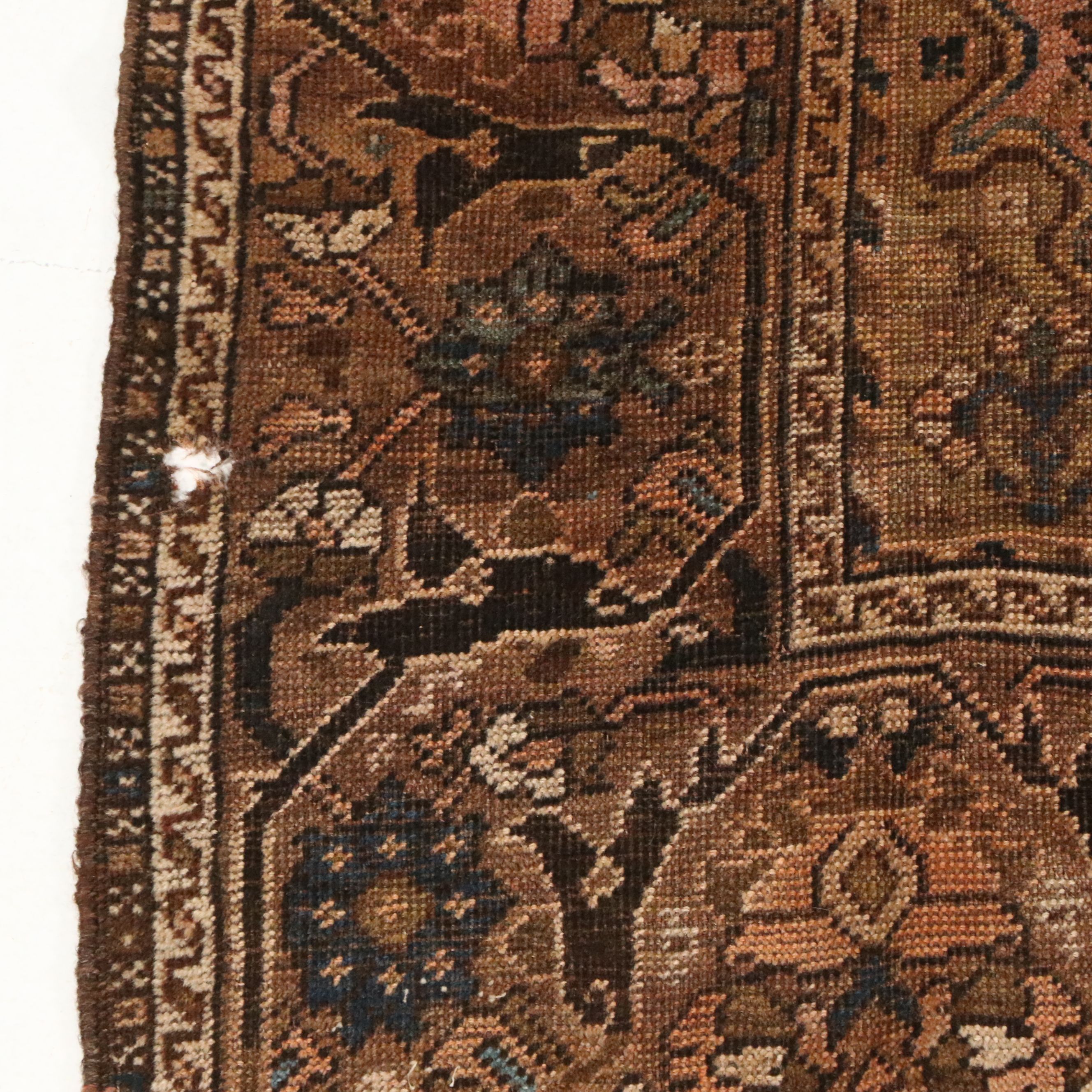 4'11 x 6'6 Hand-Knotted Caucasian Shirvan Area Rug