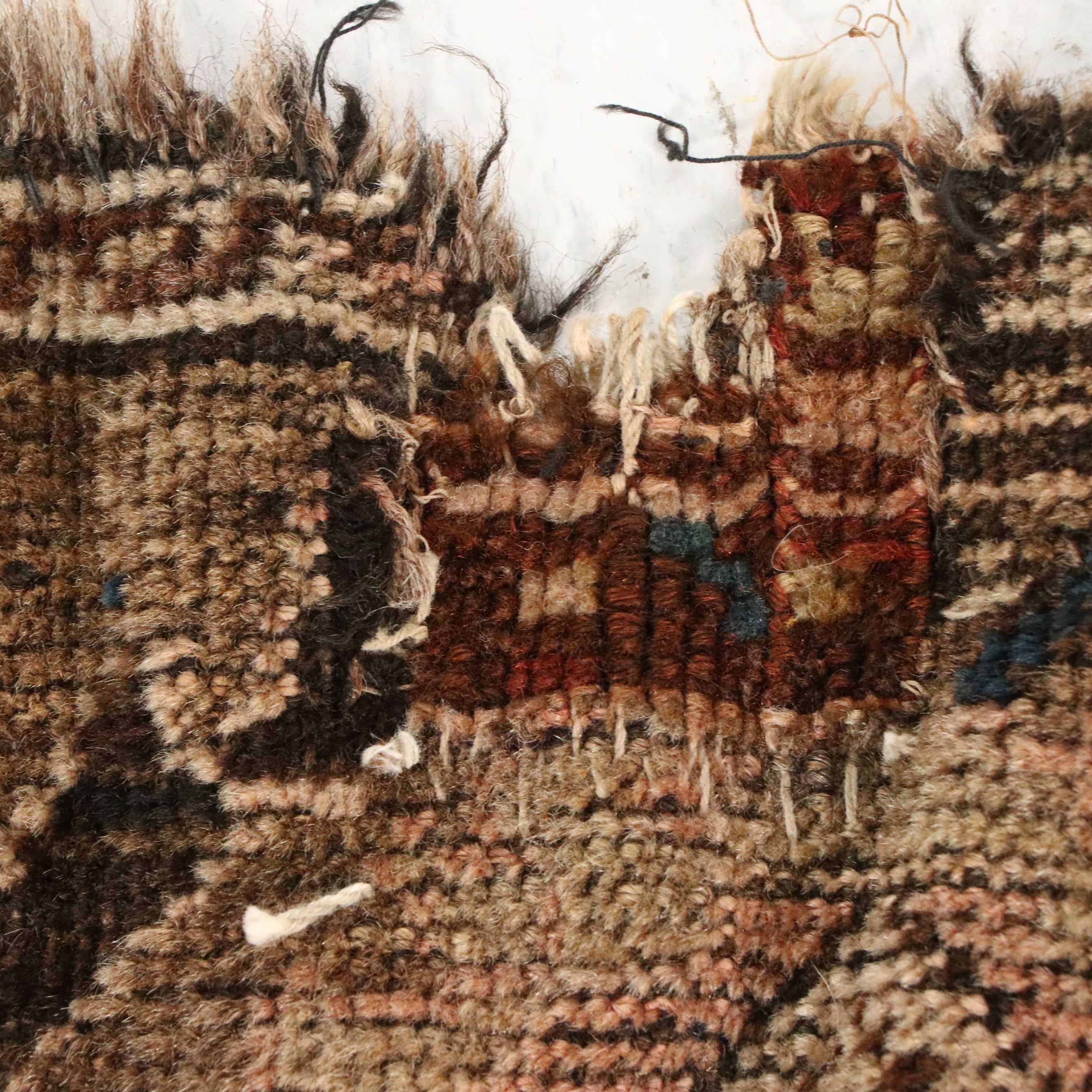 4'11 x 6'6 Hand-Knotted Caucasian Shirvan Area Rug