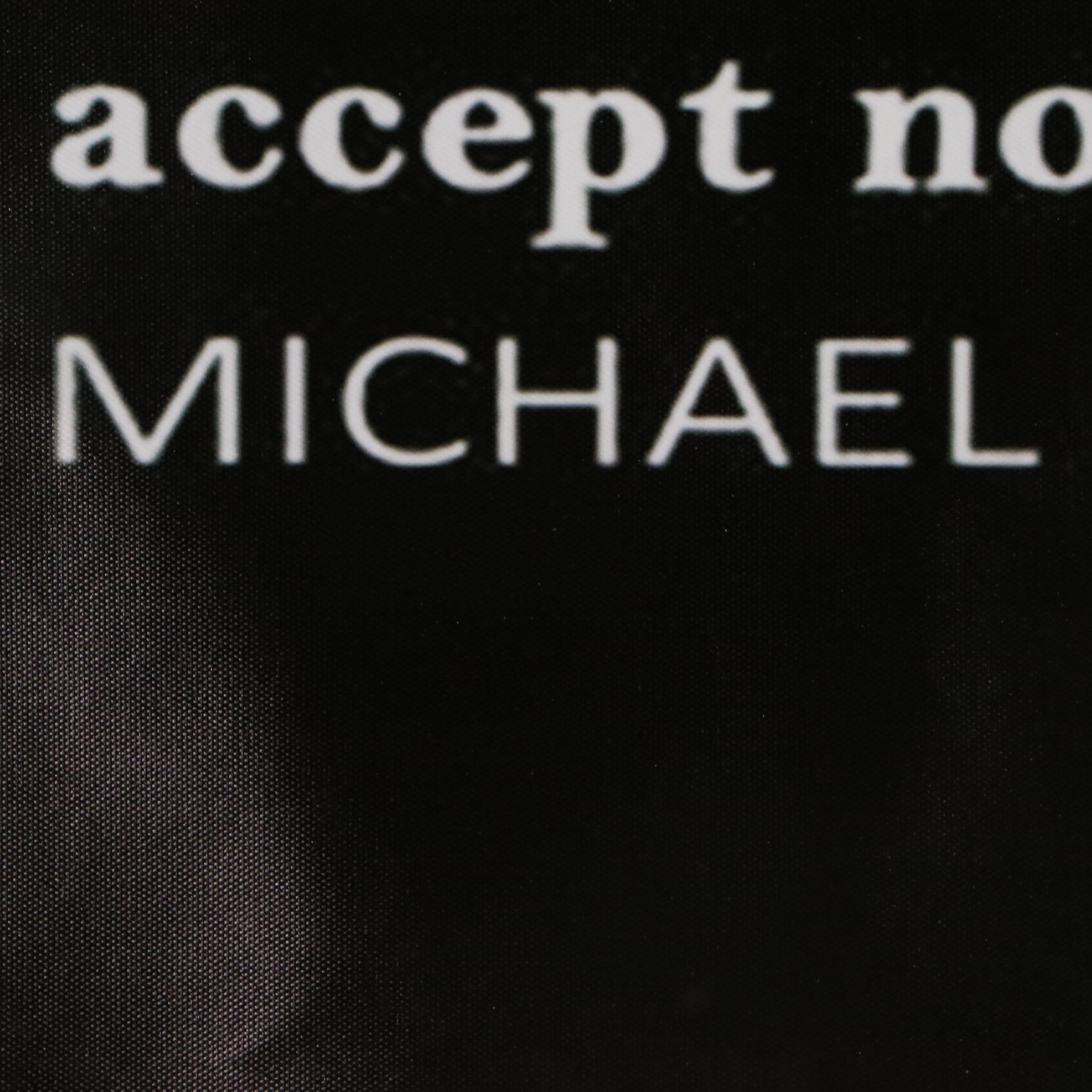 Large Vinyl Michael Jordan Poster