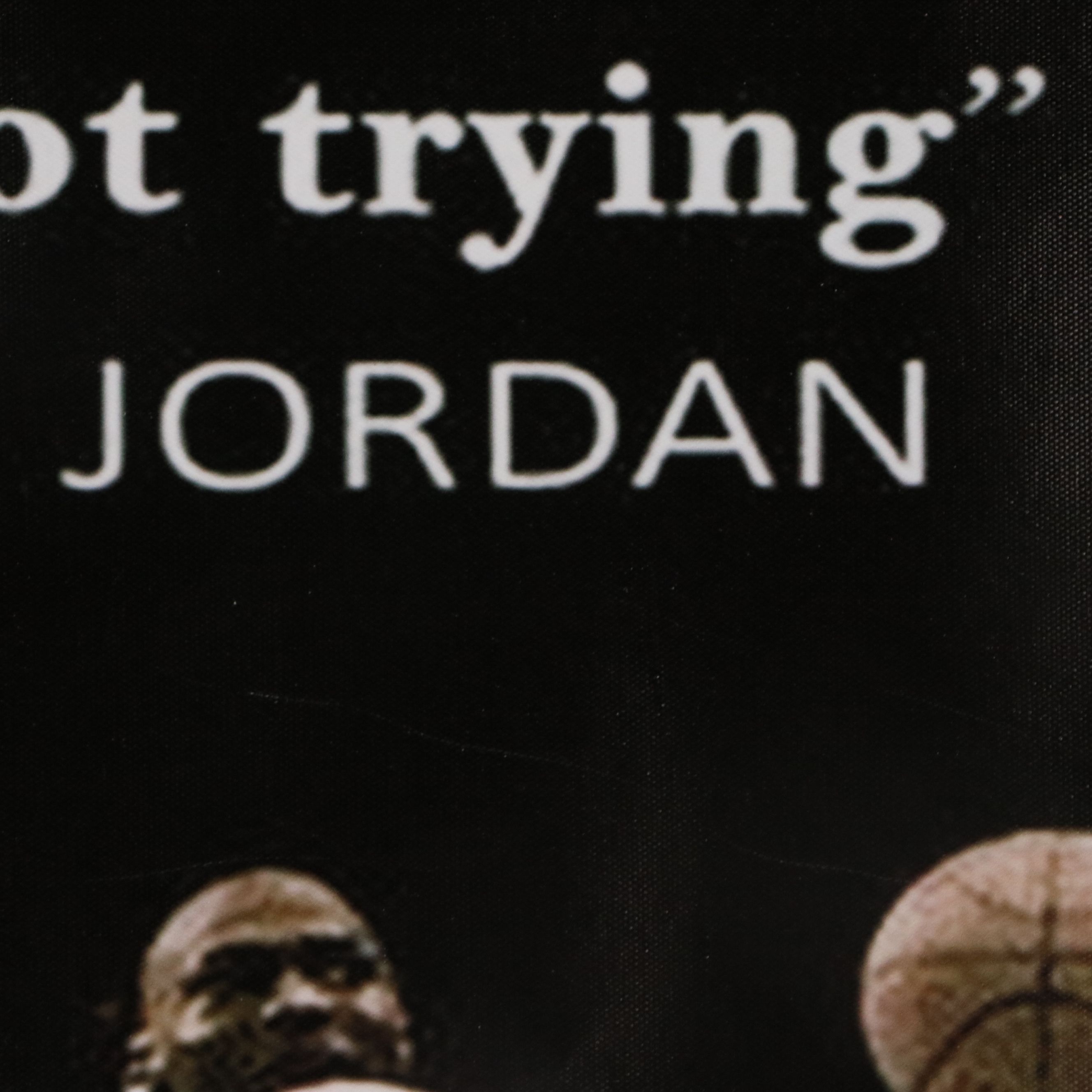 Large Vinyl Michael Jordan Poster