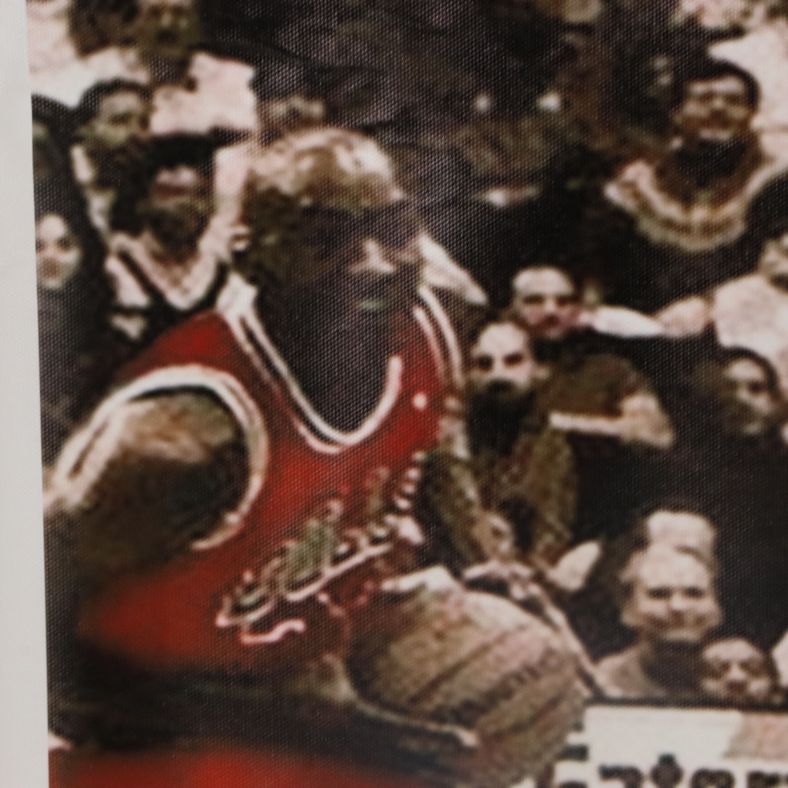 Large Vinyl Michael Jordan Poster