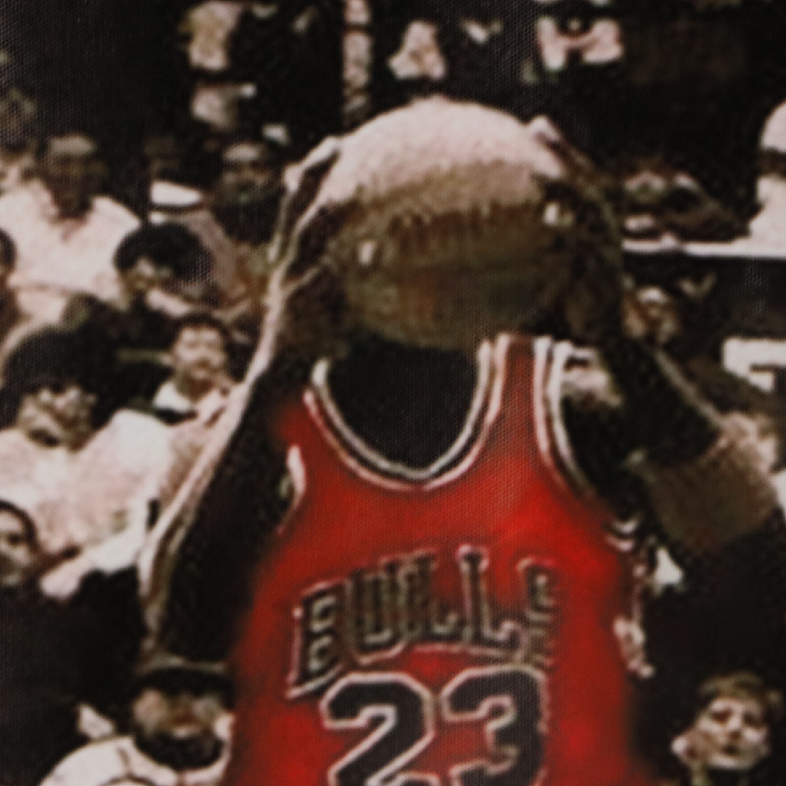 Large Vinyl Michael Jordan Poster