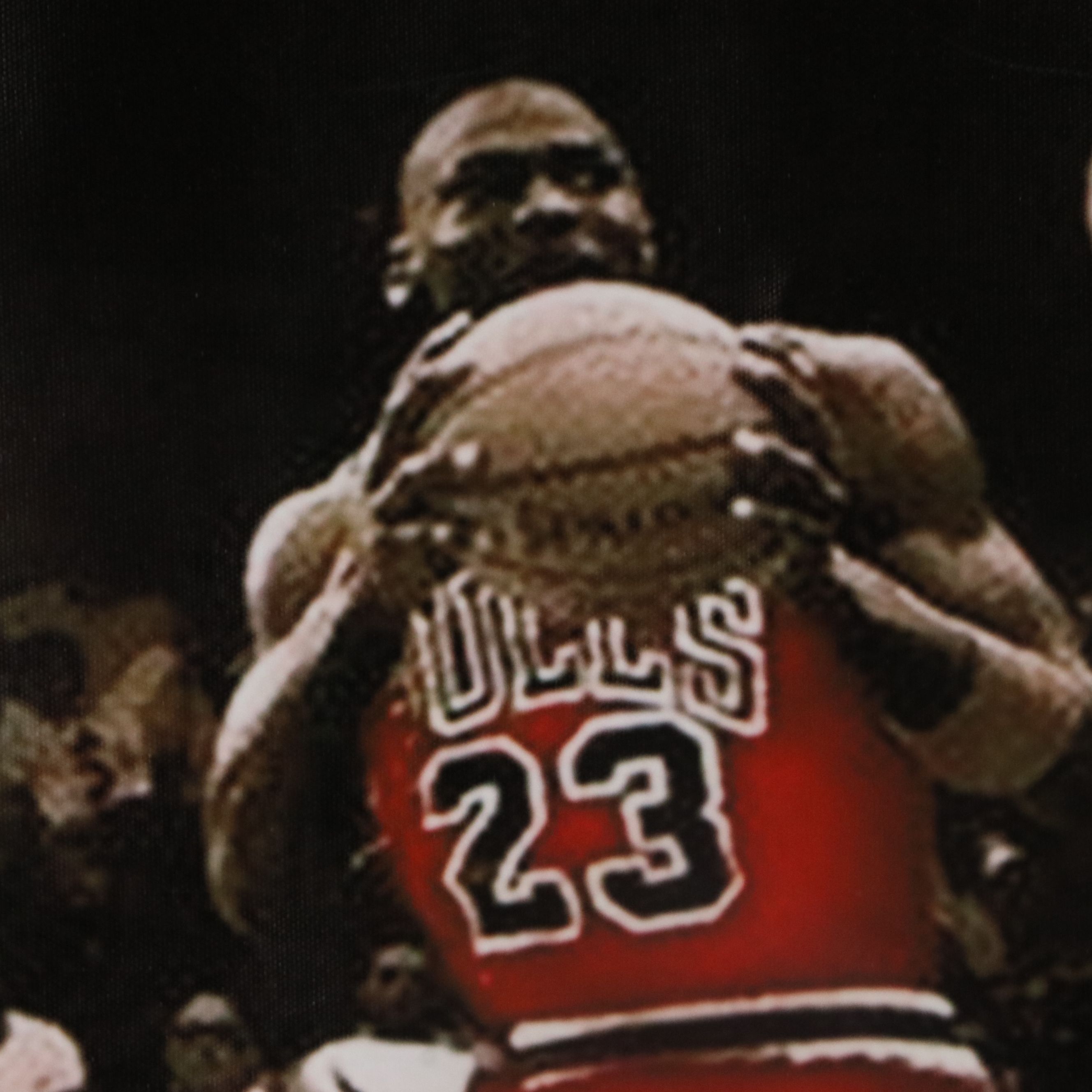 Large Vinyl Michael Jordan Poster