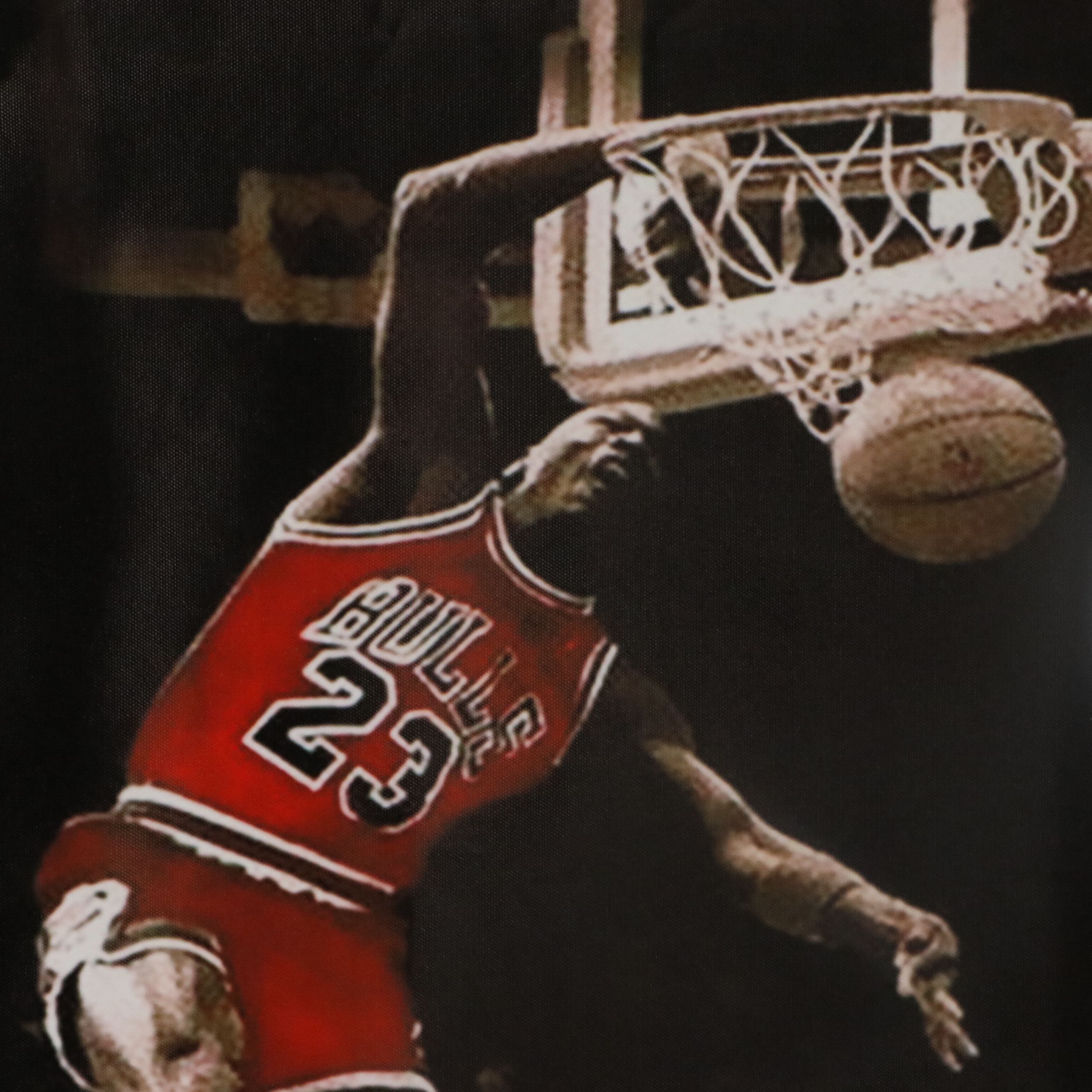 Large Vinyl Michael Jordan Poster