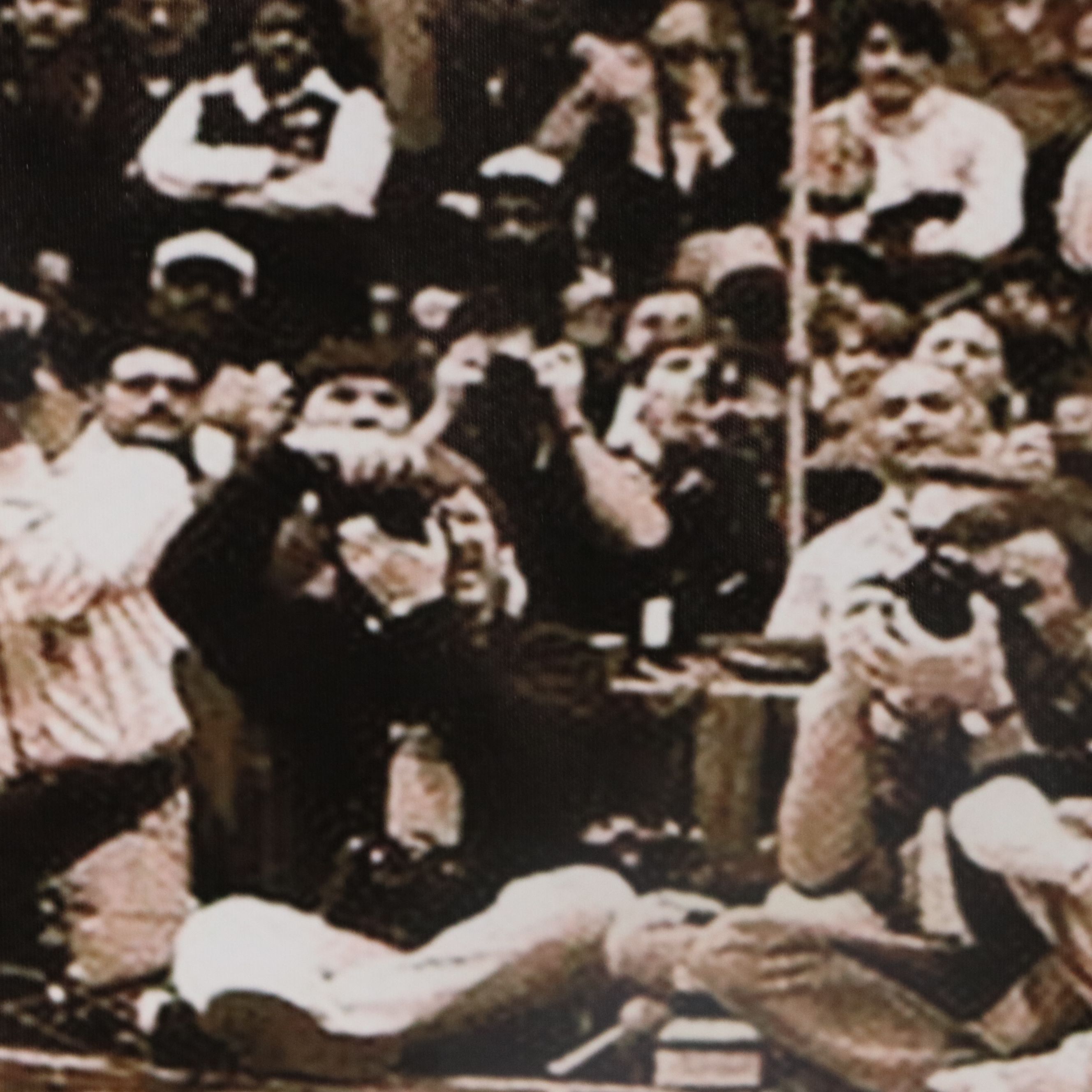 Large Vinyl Michael Jordan Poster