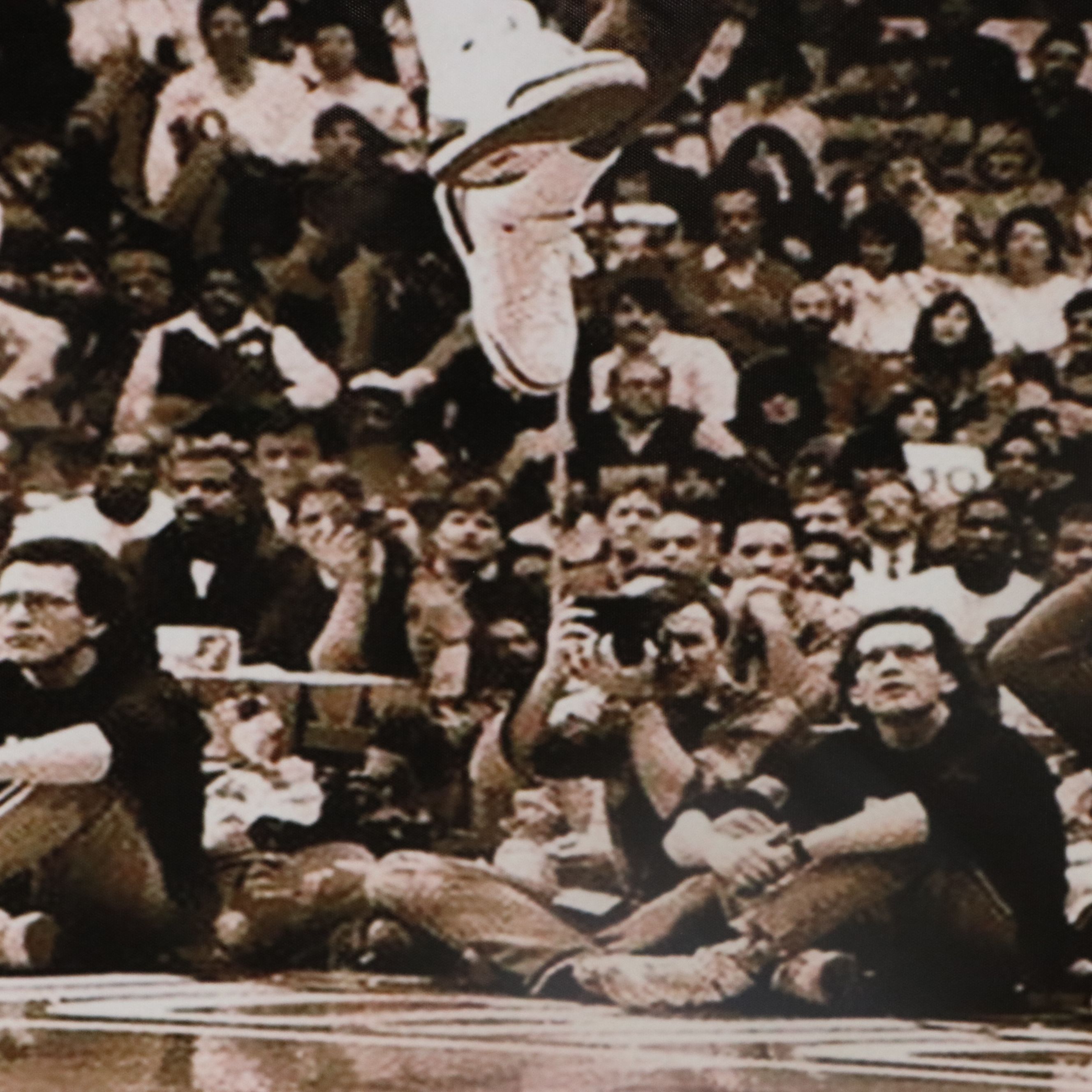 Large Vinyl Michael Jordan Poster