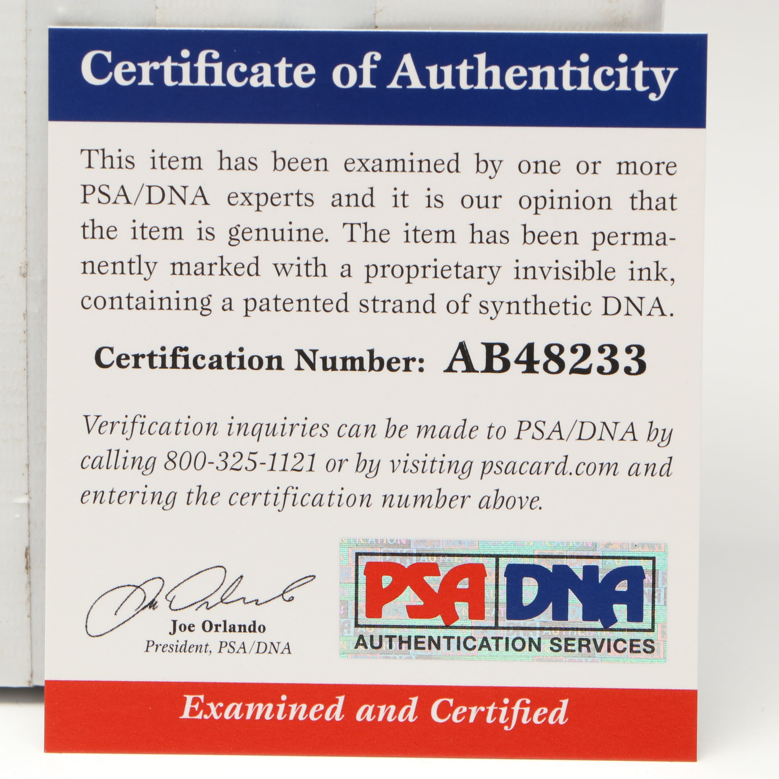 Cheech & Chong Signed "The Simpsons" Print, PSA/DNA