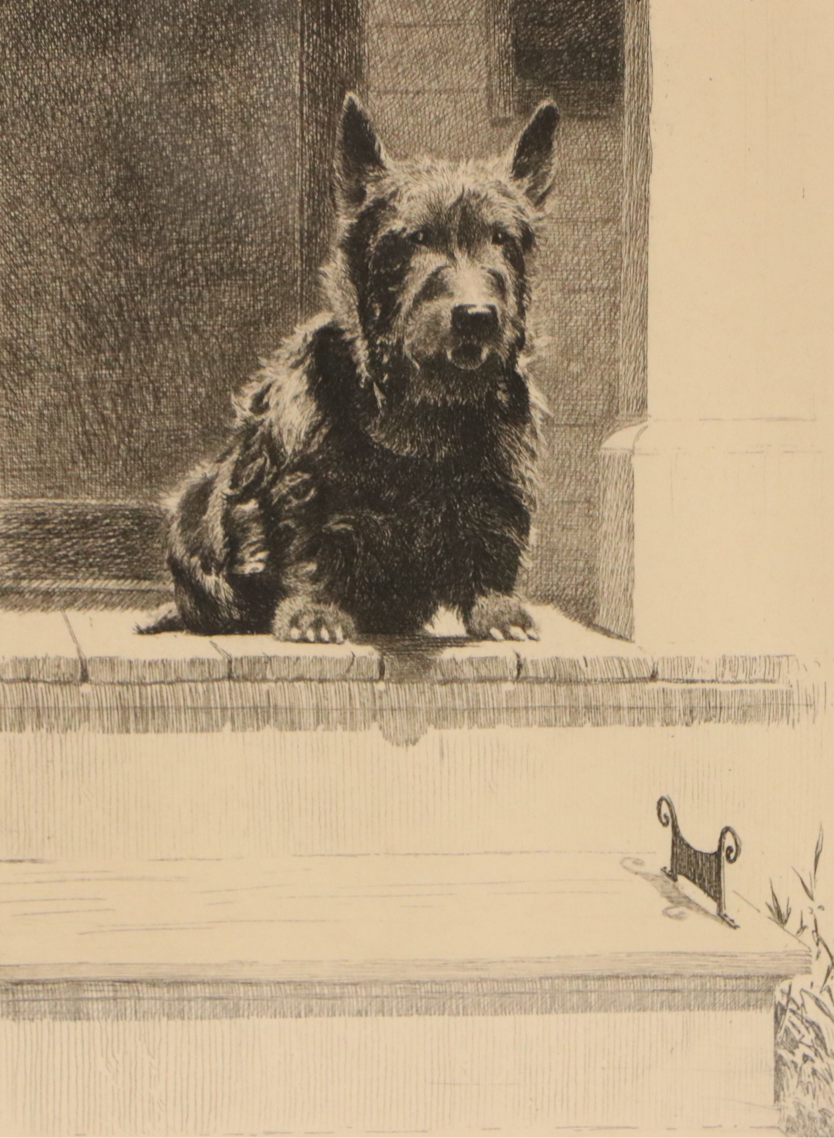 Morgan Dennis Etching of Terrier "Scone Kennels," 1927