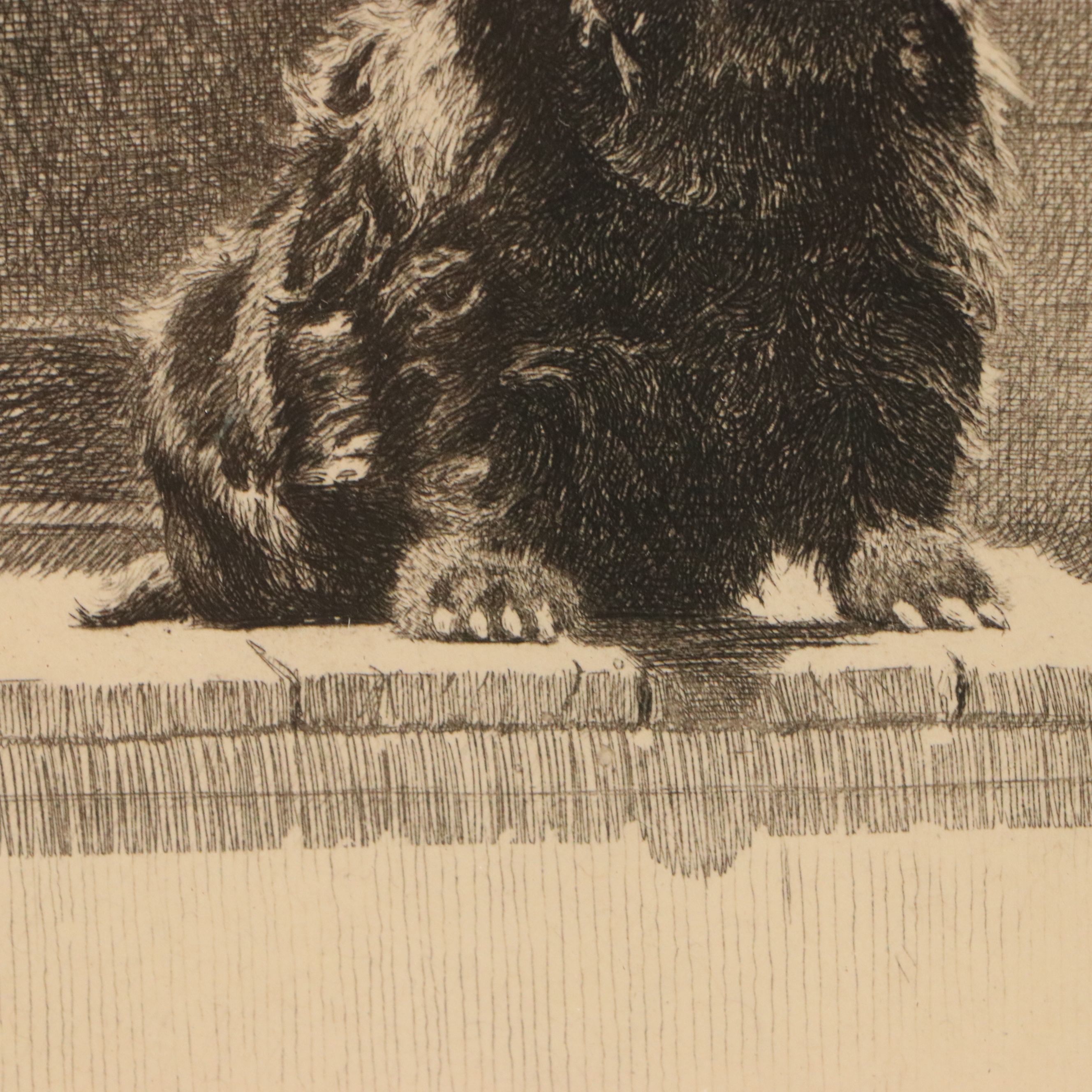 Morgan Dennis Etching of Terrier "Scone Kennels," 1927