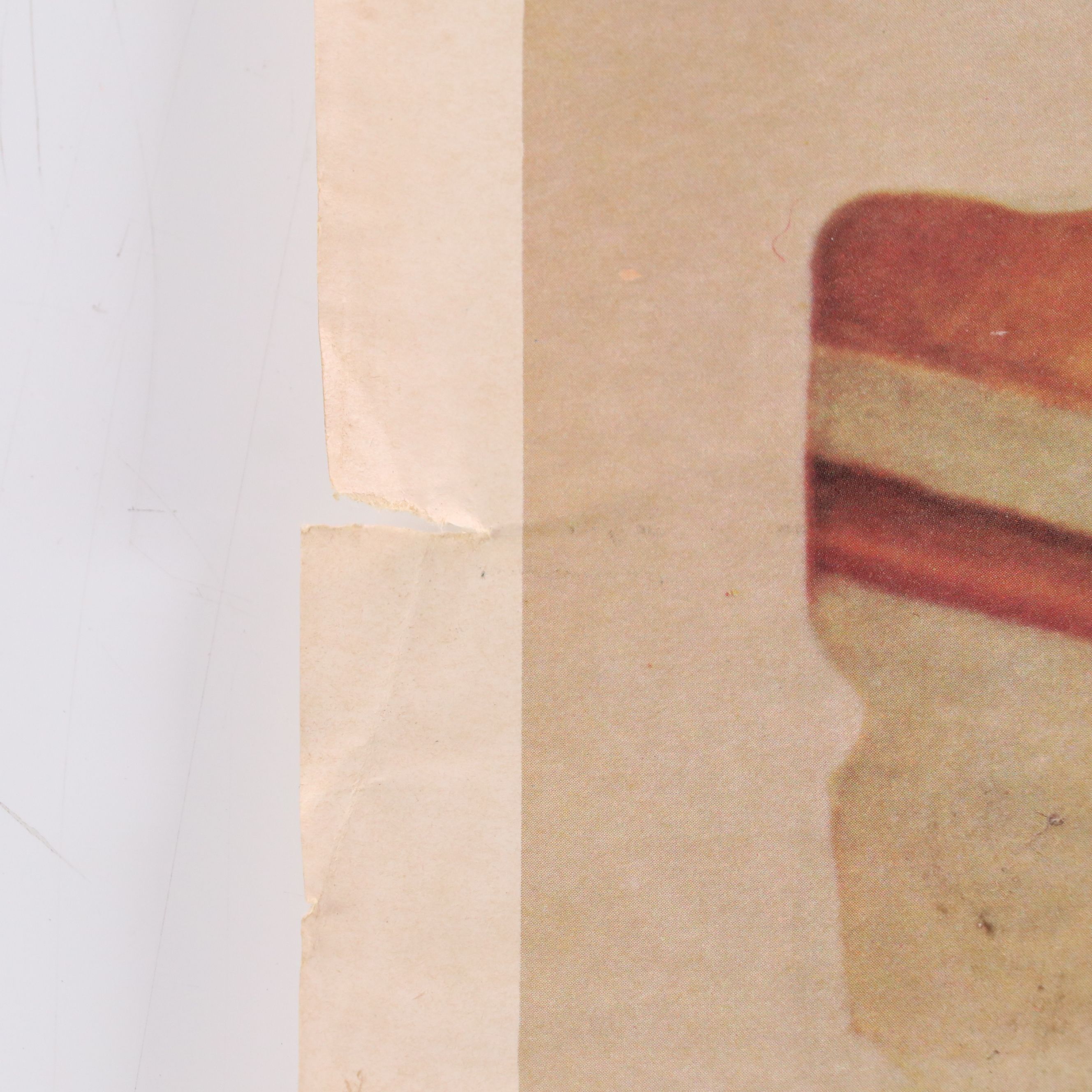 "I Want You For U.S. Army" Offset Lithograph Poster and More